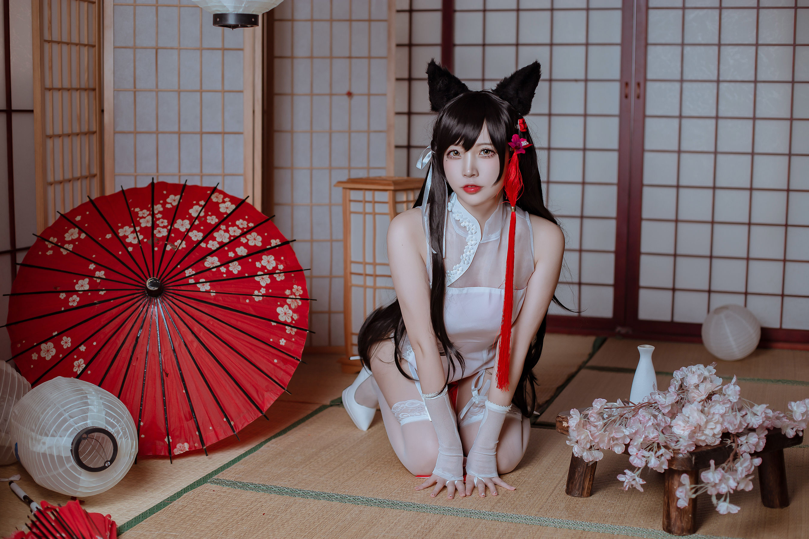 人气Coser二佐Nisa - 犬之眷之碧蓝爱宕 旗袍-图3