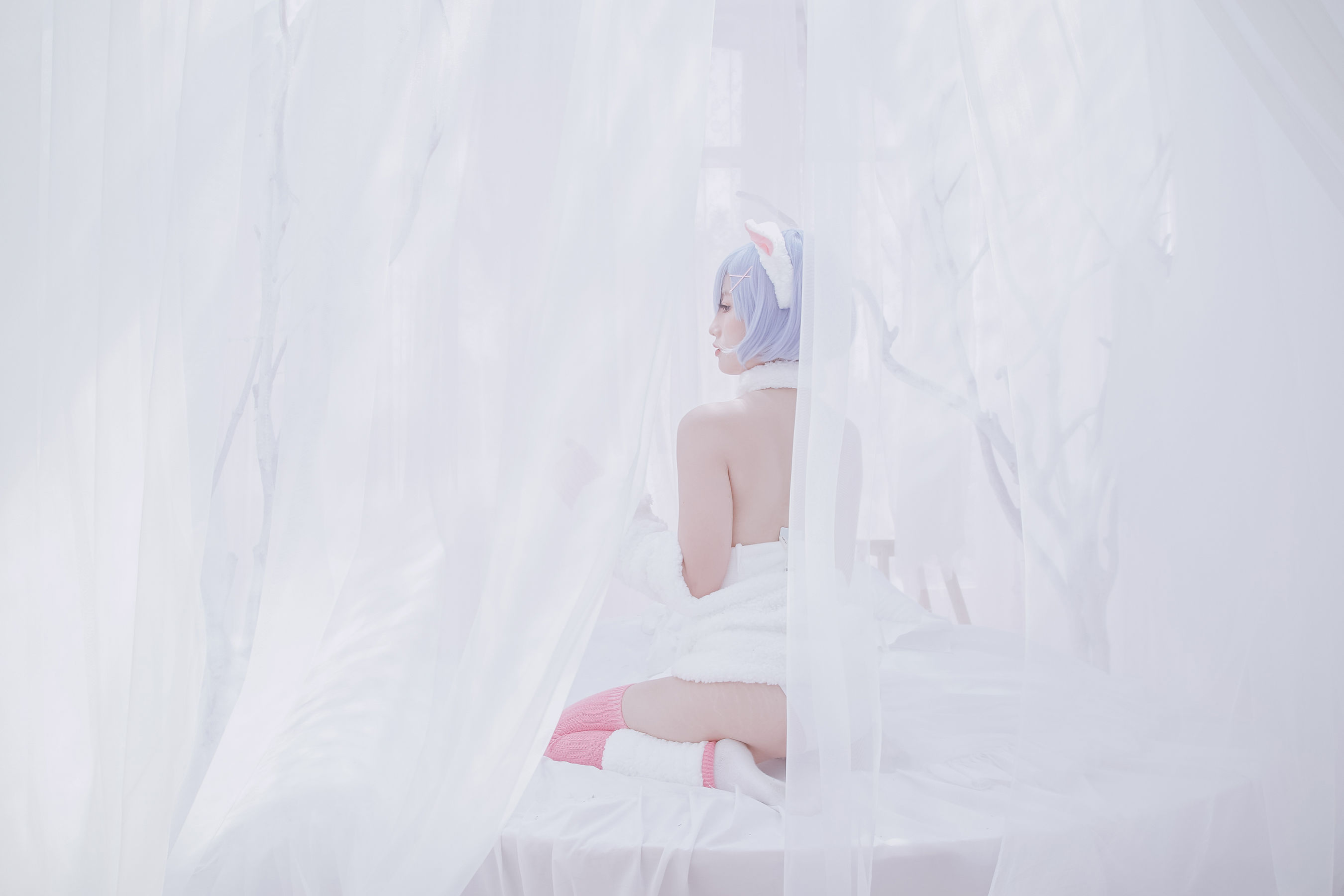 写真 - Rem the sheep-图17