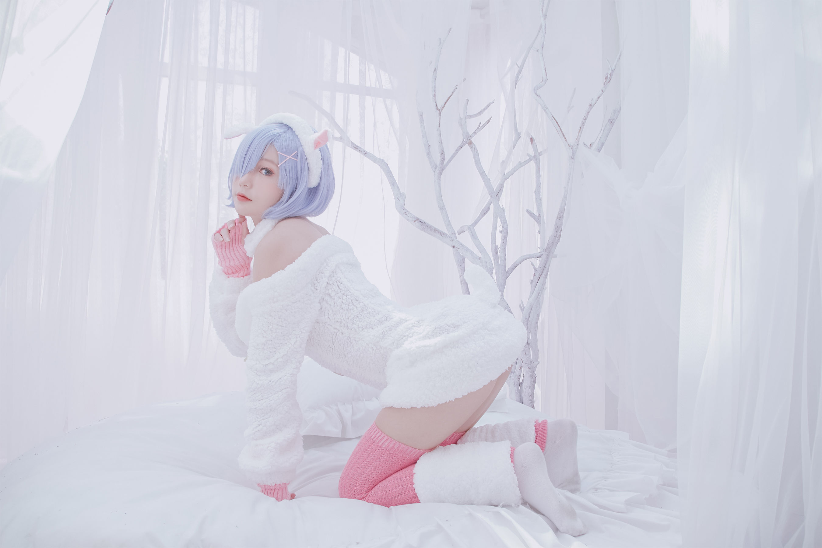 写真 - Rem the sheep-图2