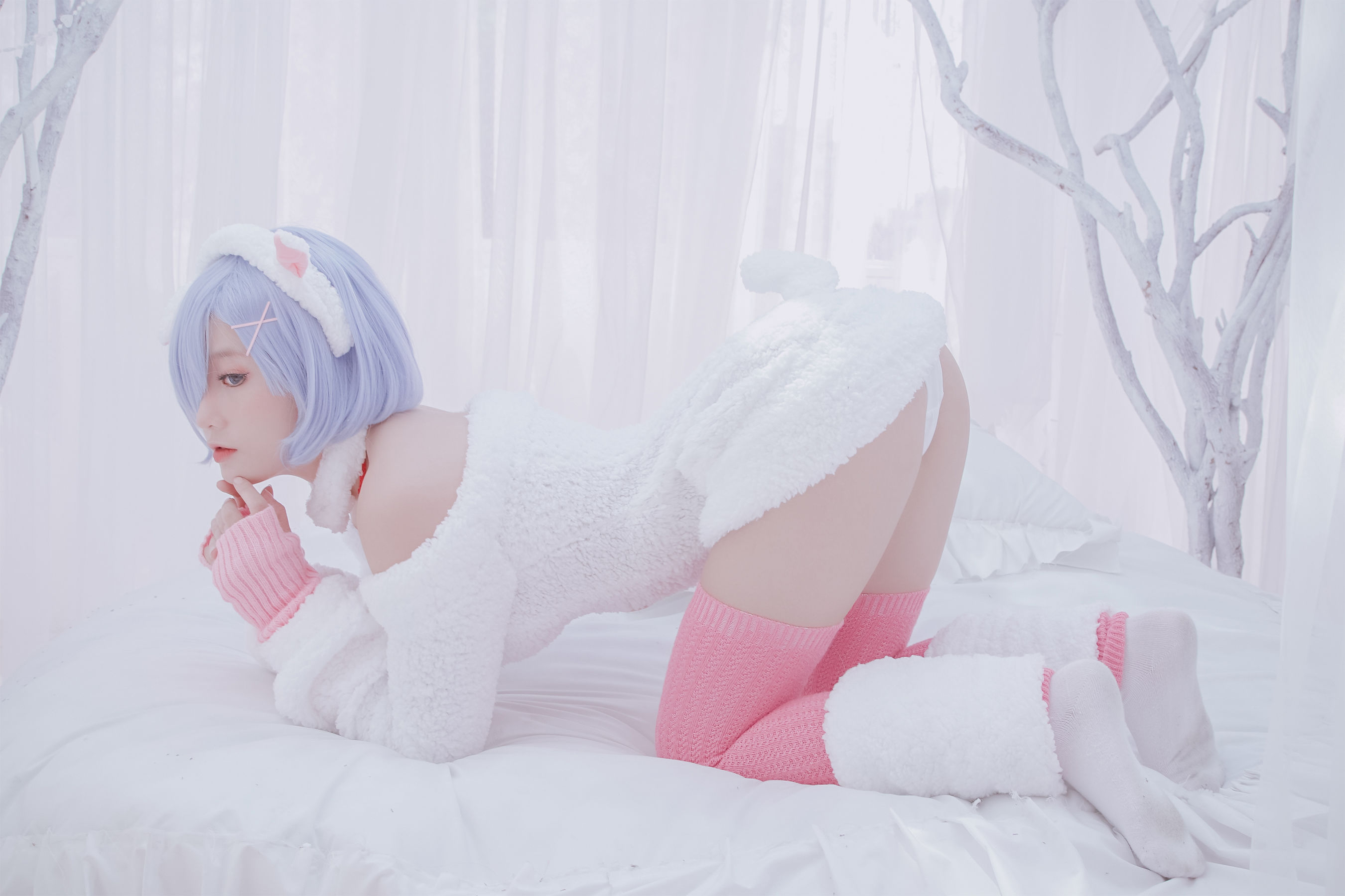 写真 - Rem the sheep-图3