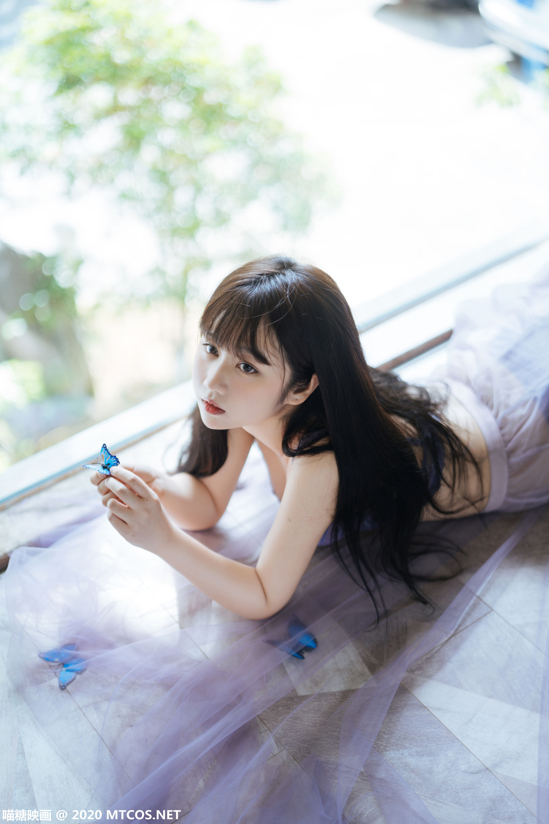 VOL.309 蓝蝶静夏-图0