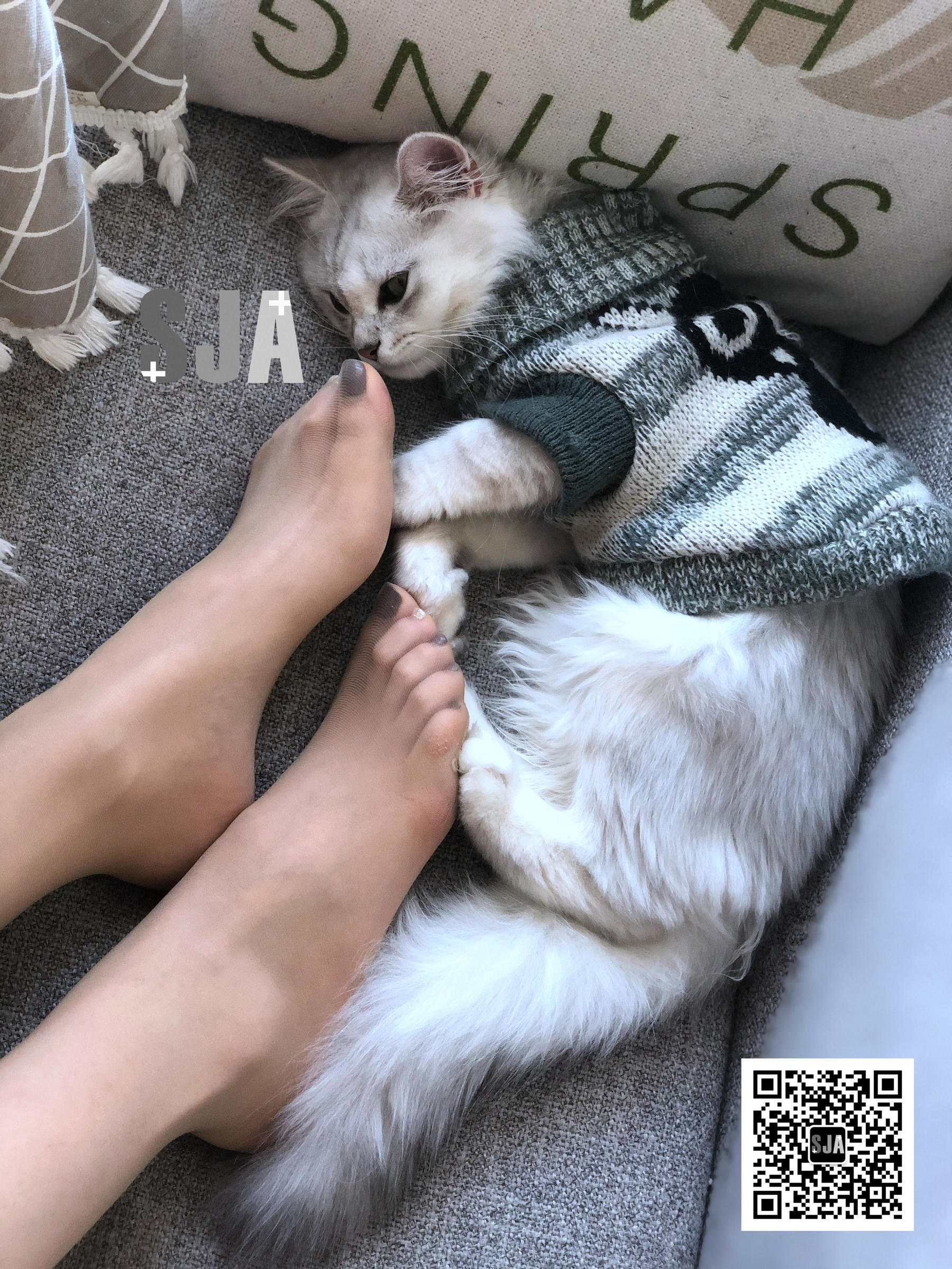 Vol.013 佳爷 闺蜜视角《喵》-图0