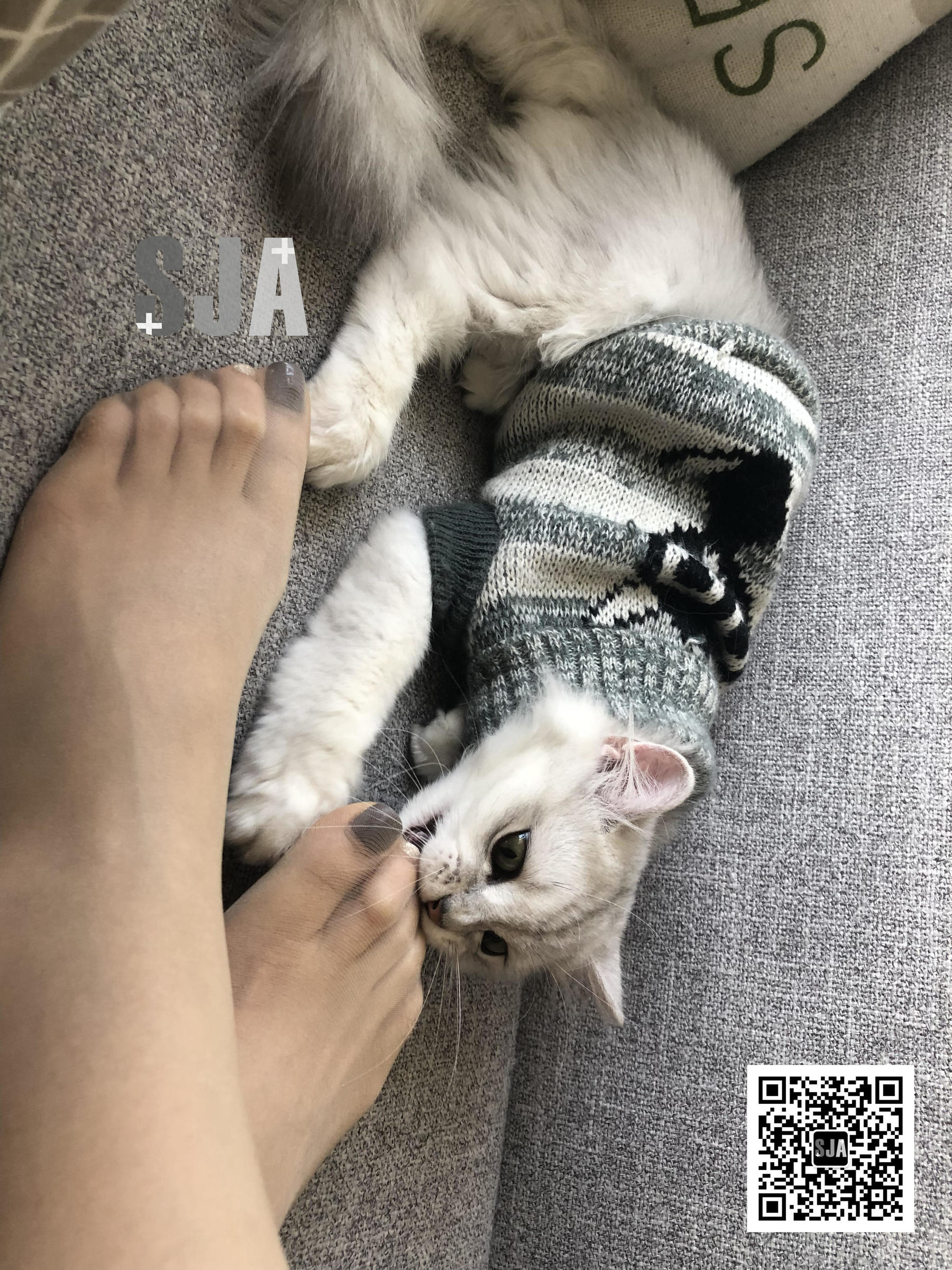 Vol.013 佳爷 闺蜜视角《喵》-图9