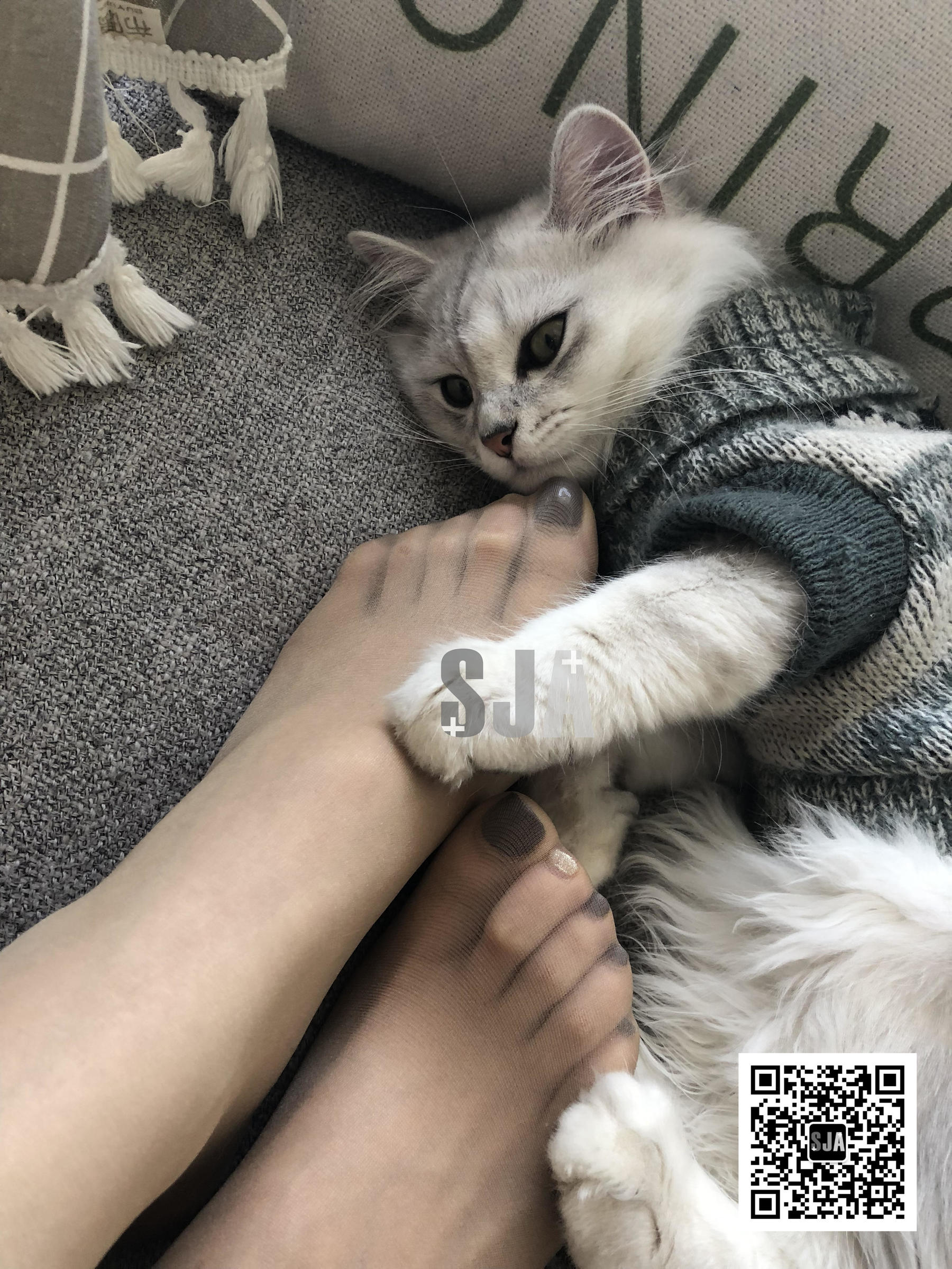 Vol.013 佳爷 闺蜜视角《喵》-图13