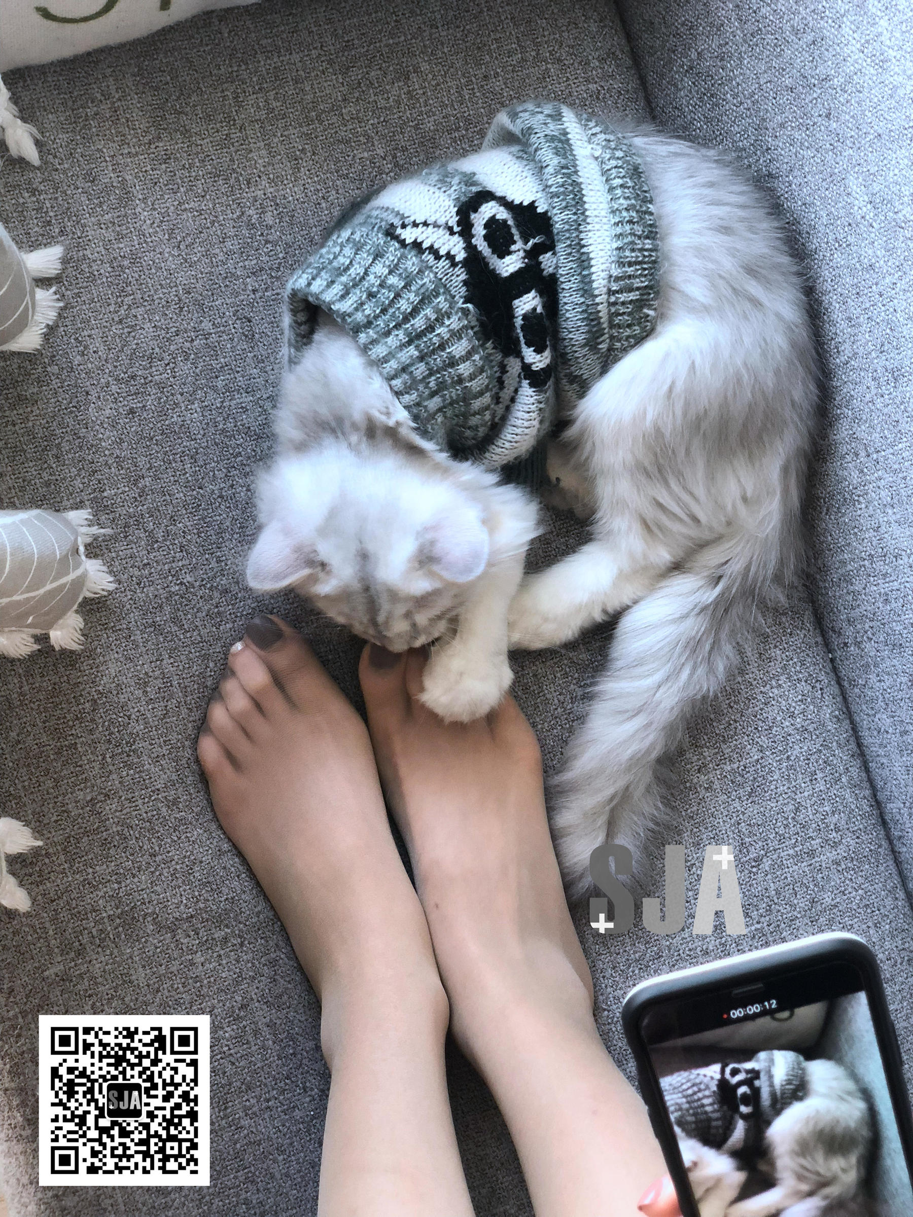 Vol.013 佳爷 闺蜜视角《喵》-图17