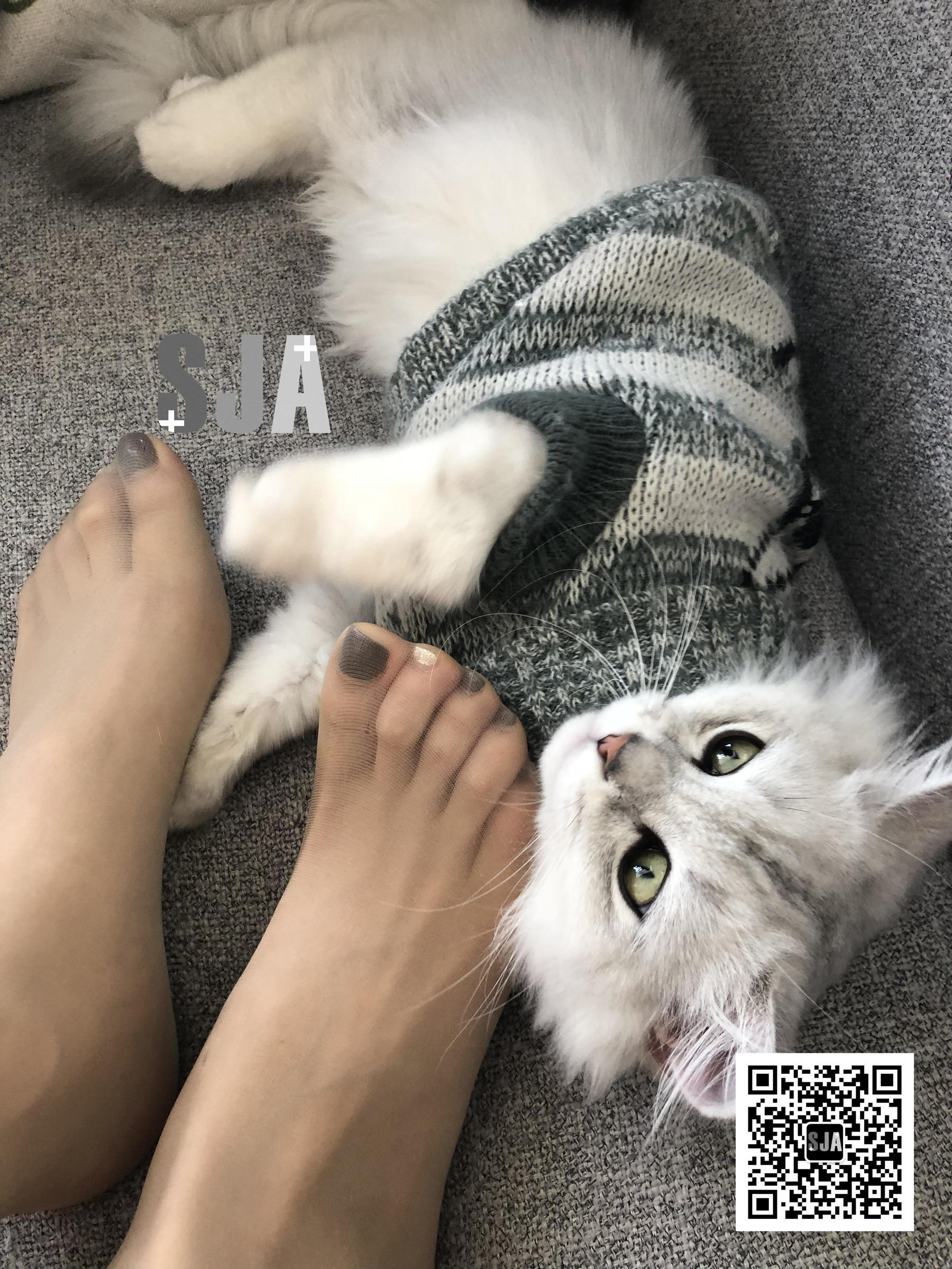 Vol.013 佳爷 闺蜜视角《喵》-图1