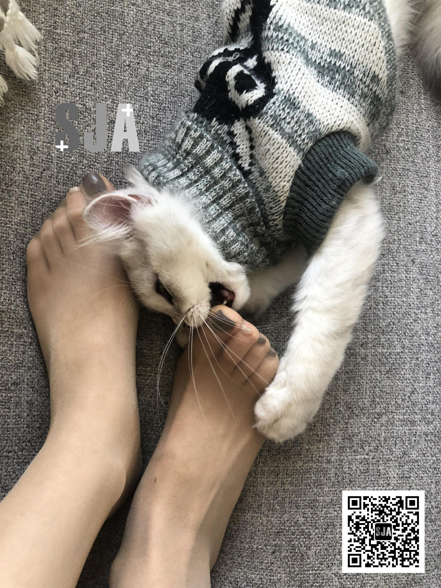 Vol.013 佳爷 闺蜜视角《喵》-图23