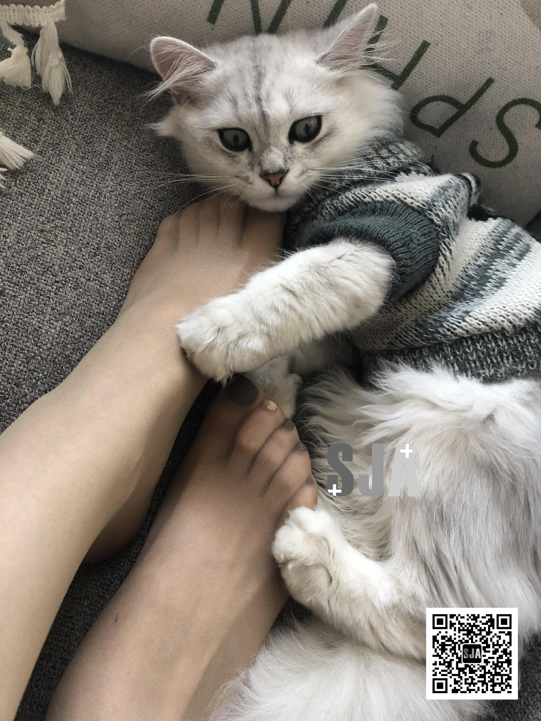 Vol.013 佳爷 闺蜜视角《喵》-图32