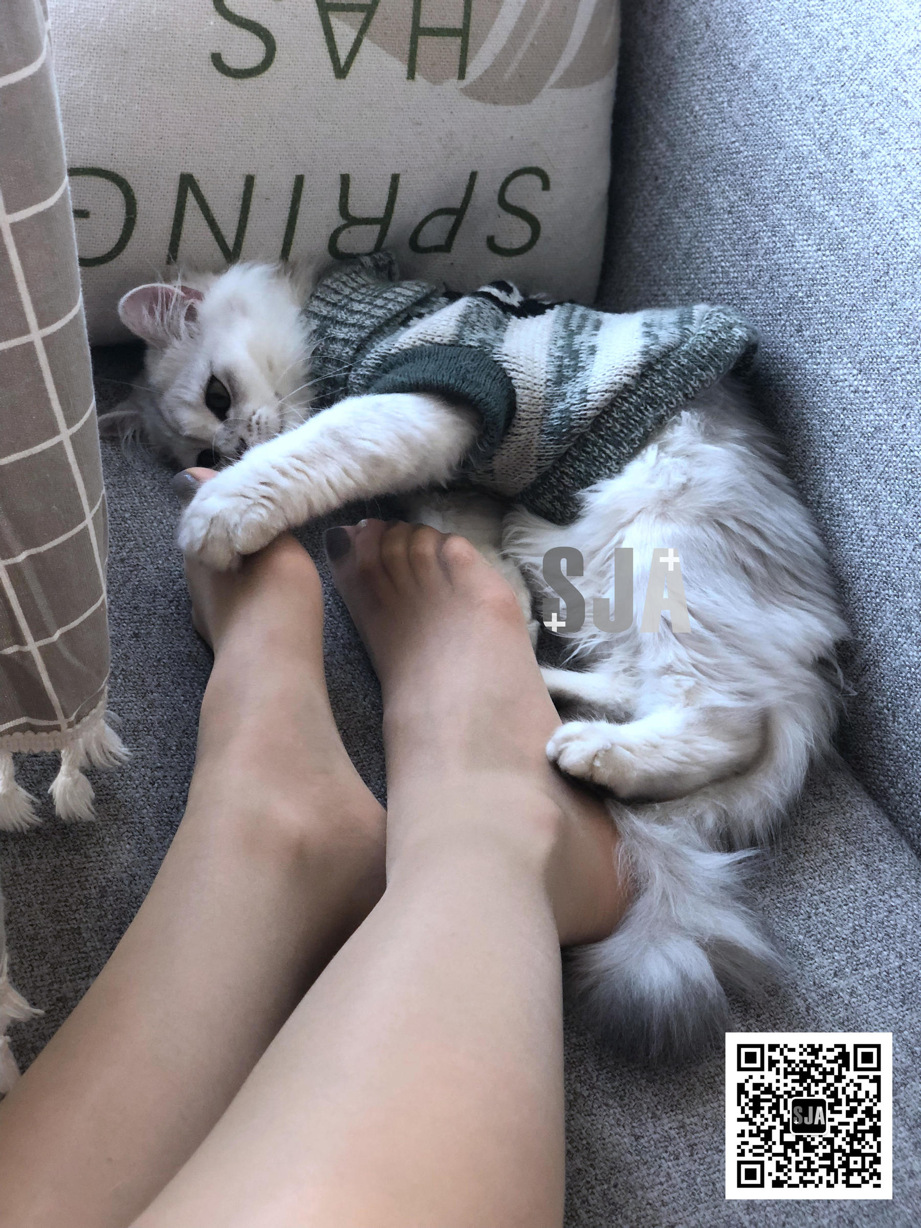 Vol.013 佳爷 闺蜜视角《喵》-图35