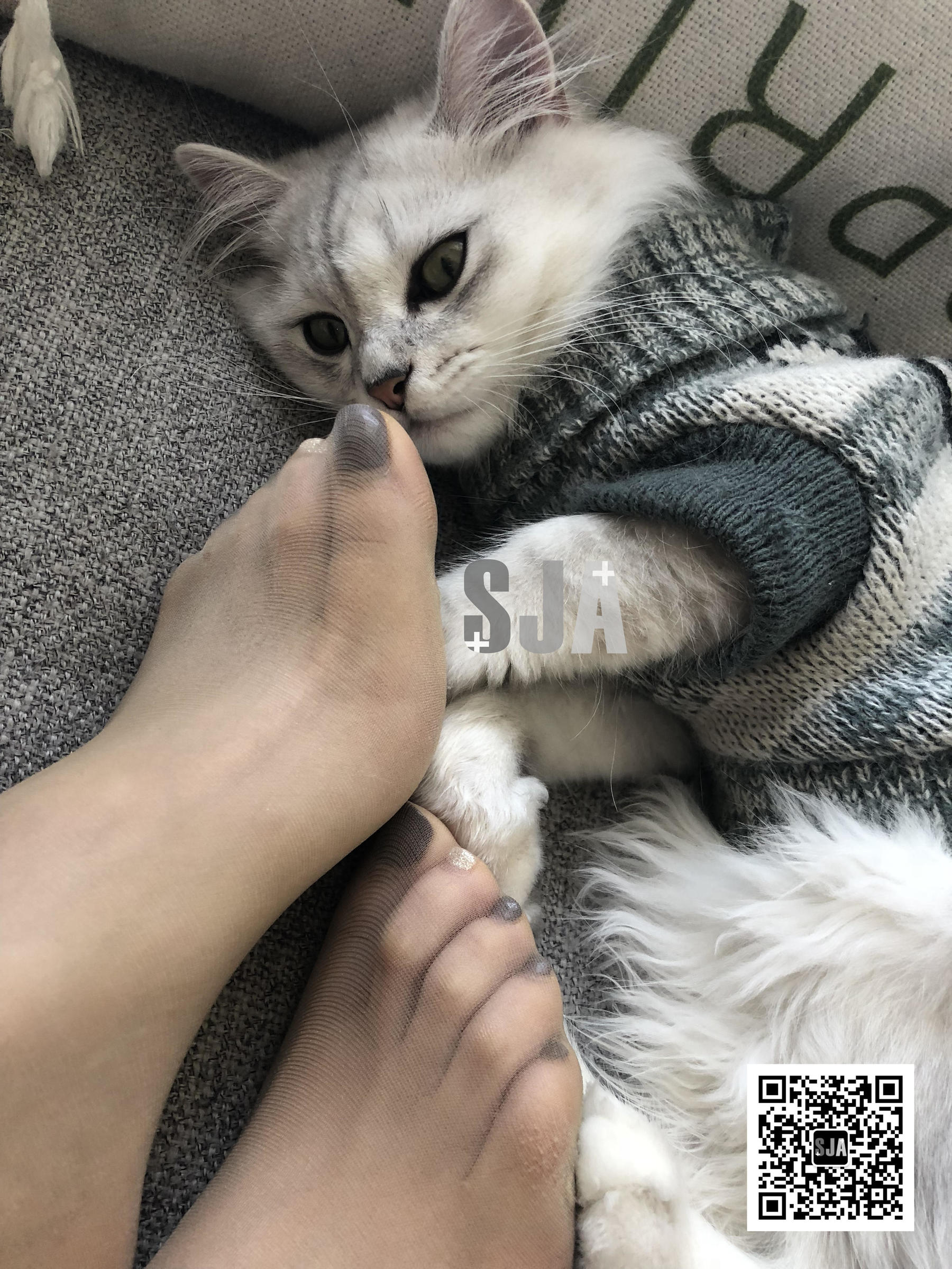 Vol.013 佳爷 闺蜜视角《喵》-图40