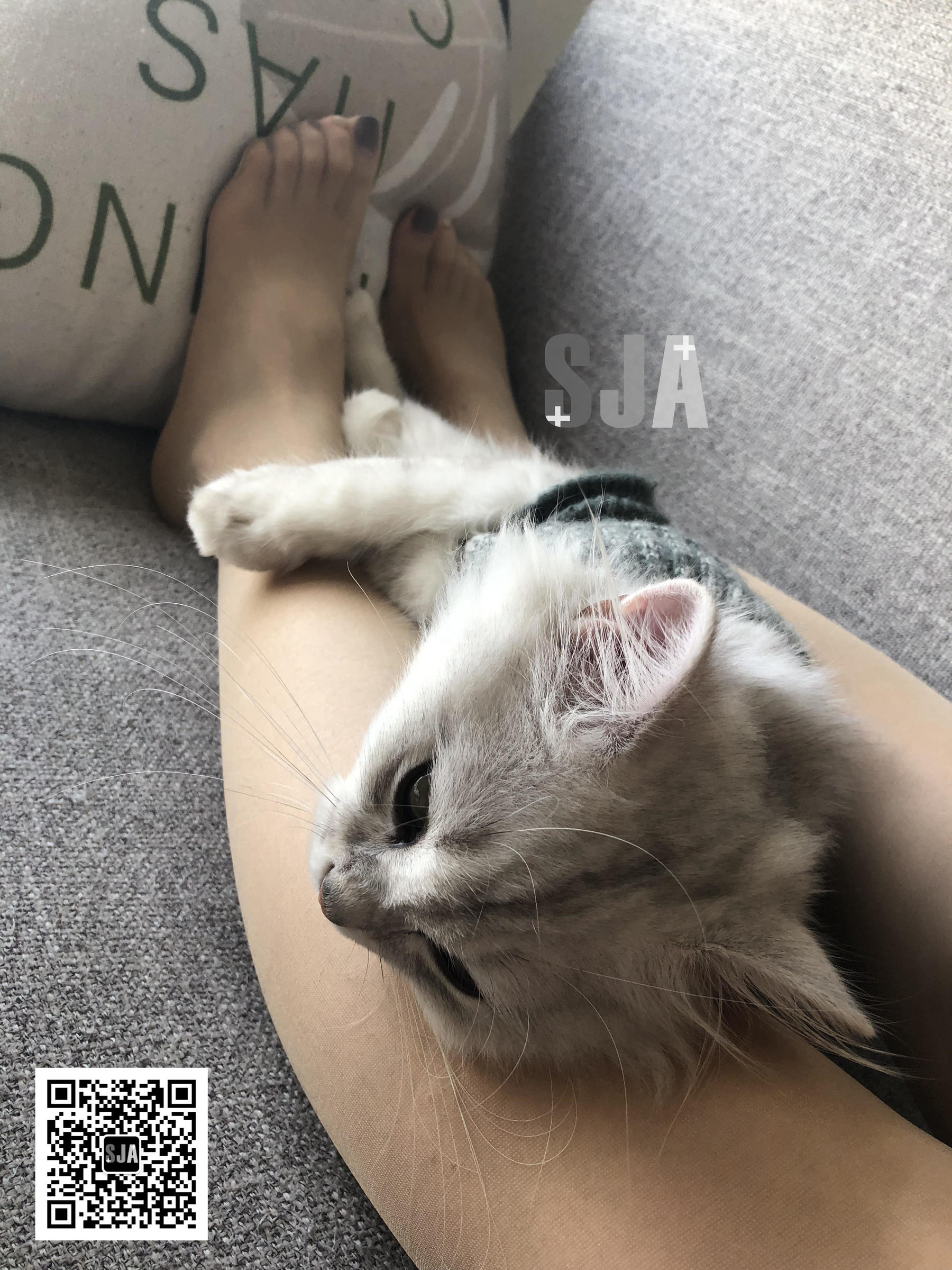 Vol.013 佳爷 闺蜜视角《喵》-图6