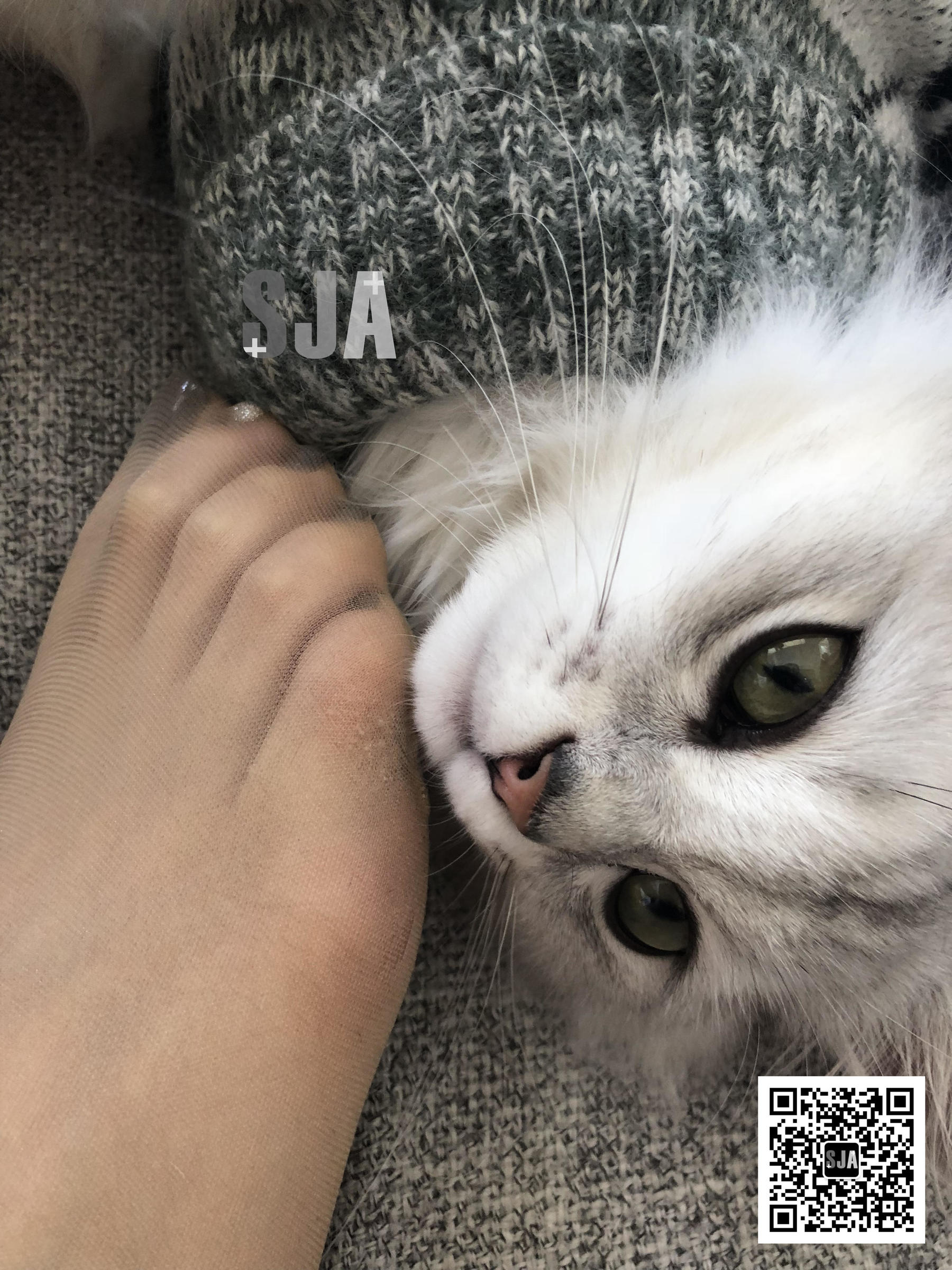 Vol.013 佳爷 闺蜜视角《喵》-图7
