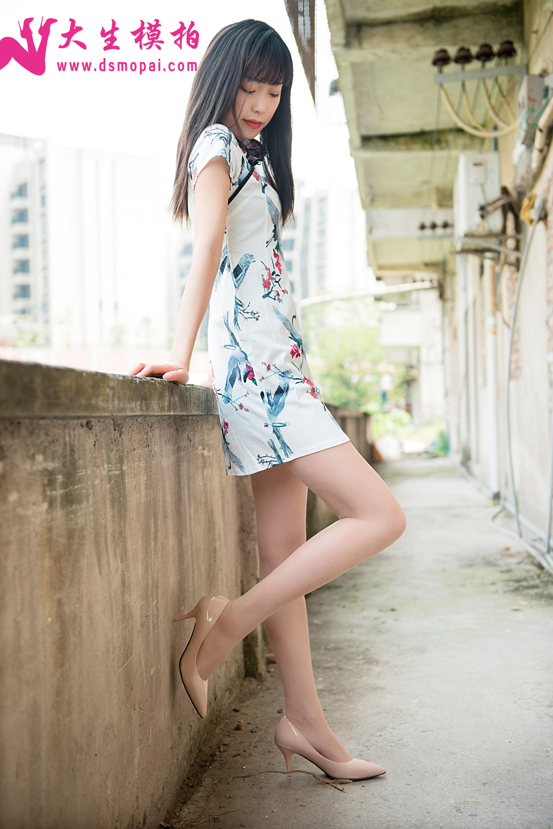 NO.181 Lynn 旗袍御姐-图0