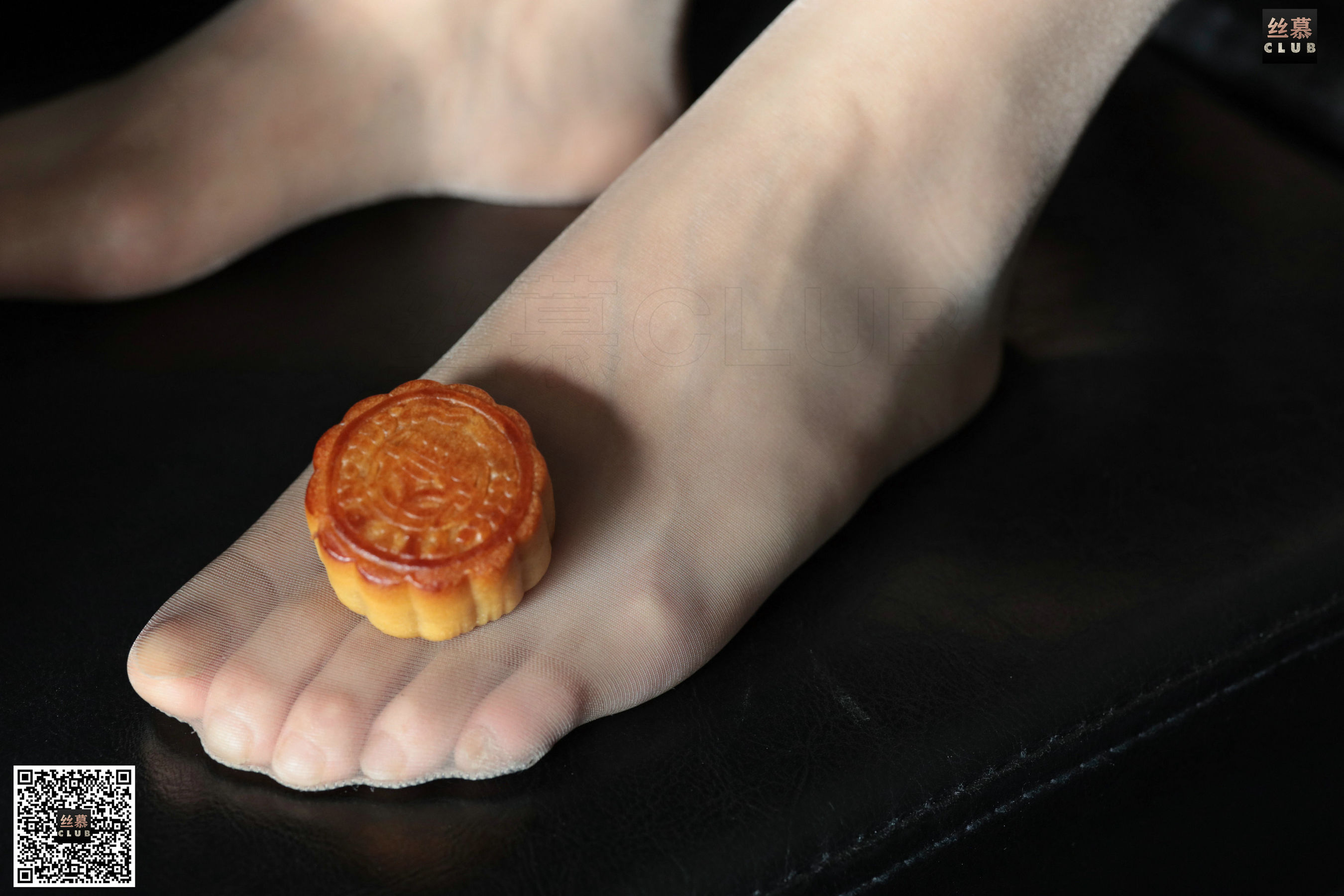 SM073 佳佳 天天一元《佳佳的中秋月饼》-图69