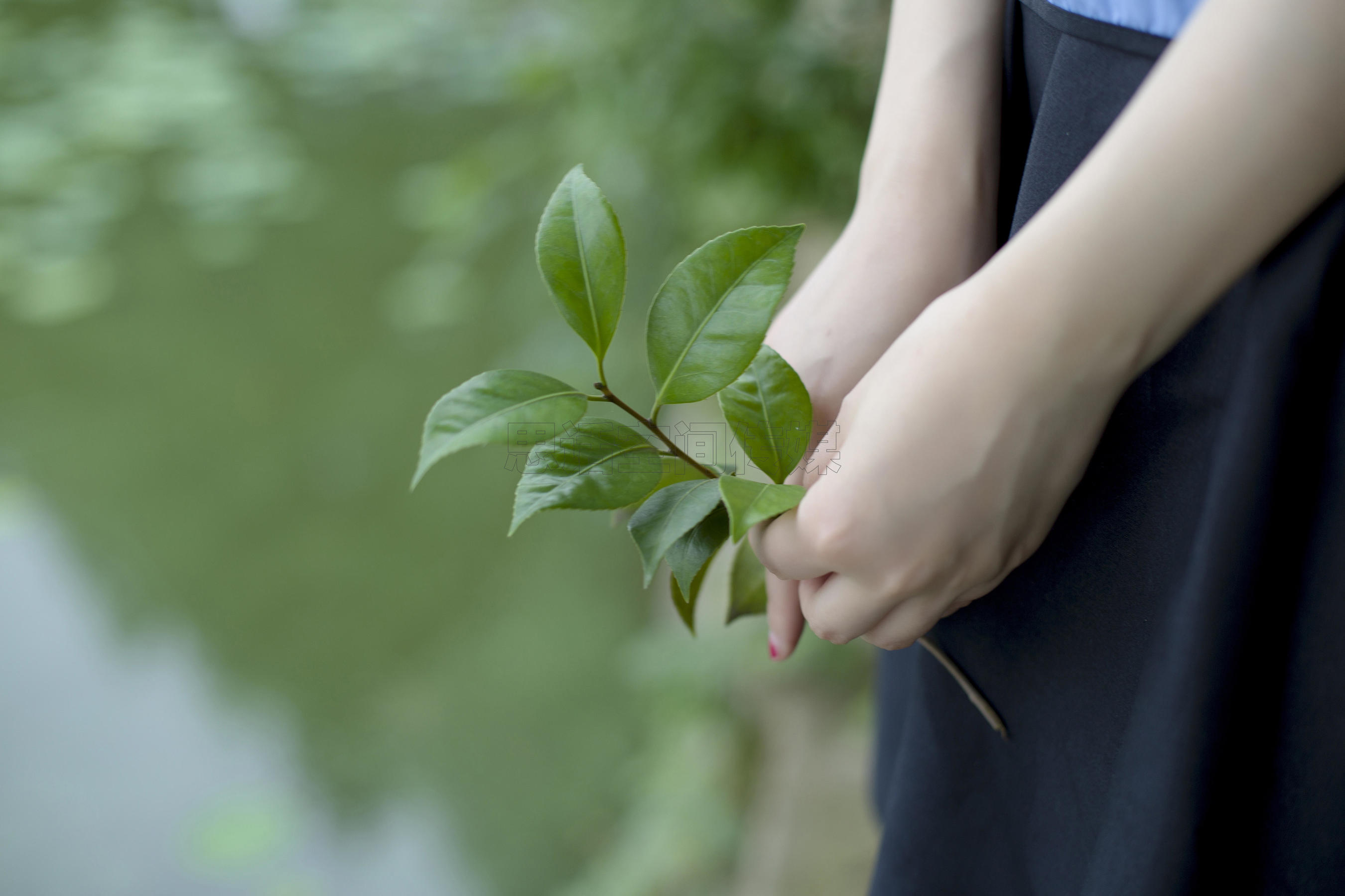 SH120 COCO 高冷女神的民国味道-图7