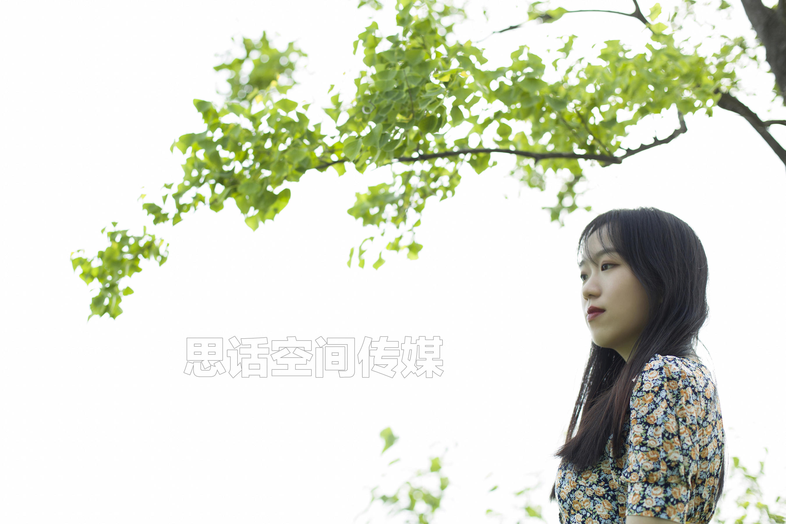 SH121 子琦 绿林碎花-图29