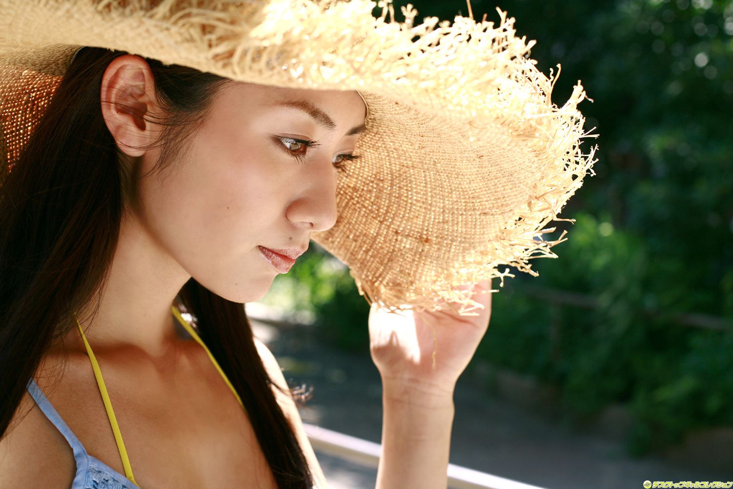 NO.787 Momoko Tani 谷桃子 Gravure Idols-图1