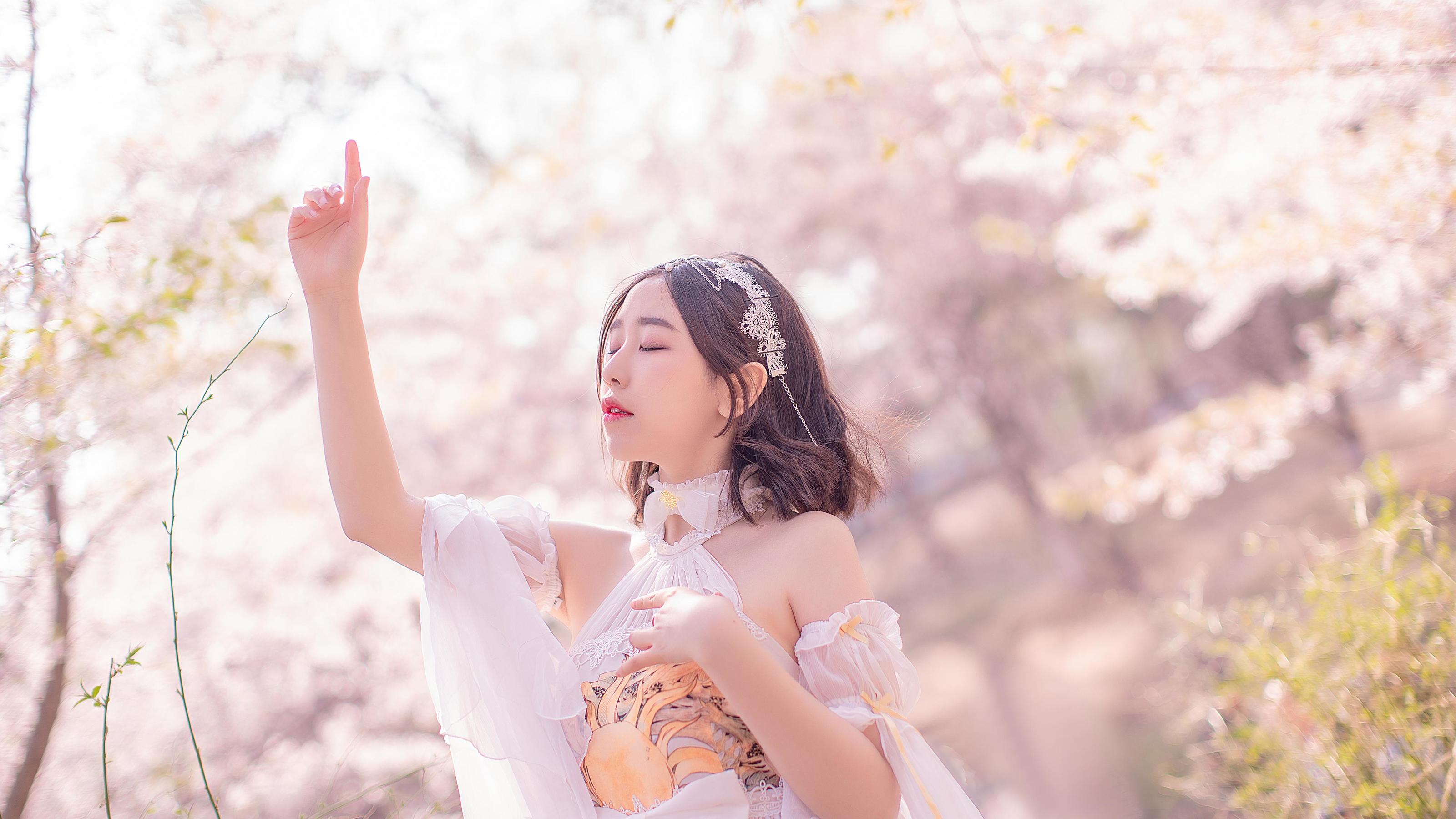 动漫博主穆零Mu0 - 花情-图0
