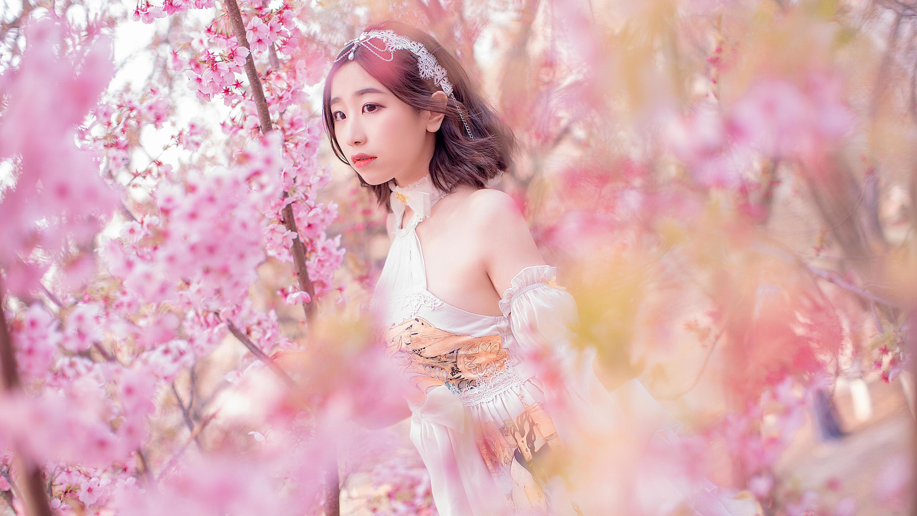 动漫博主穆零Mu0 - 花情-图17