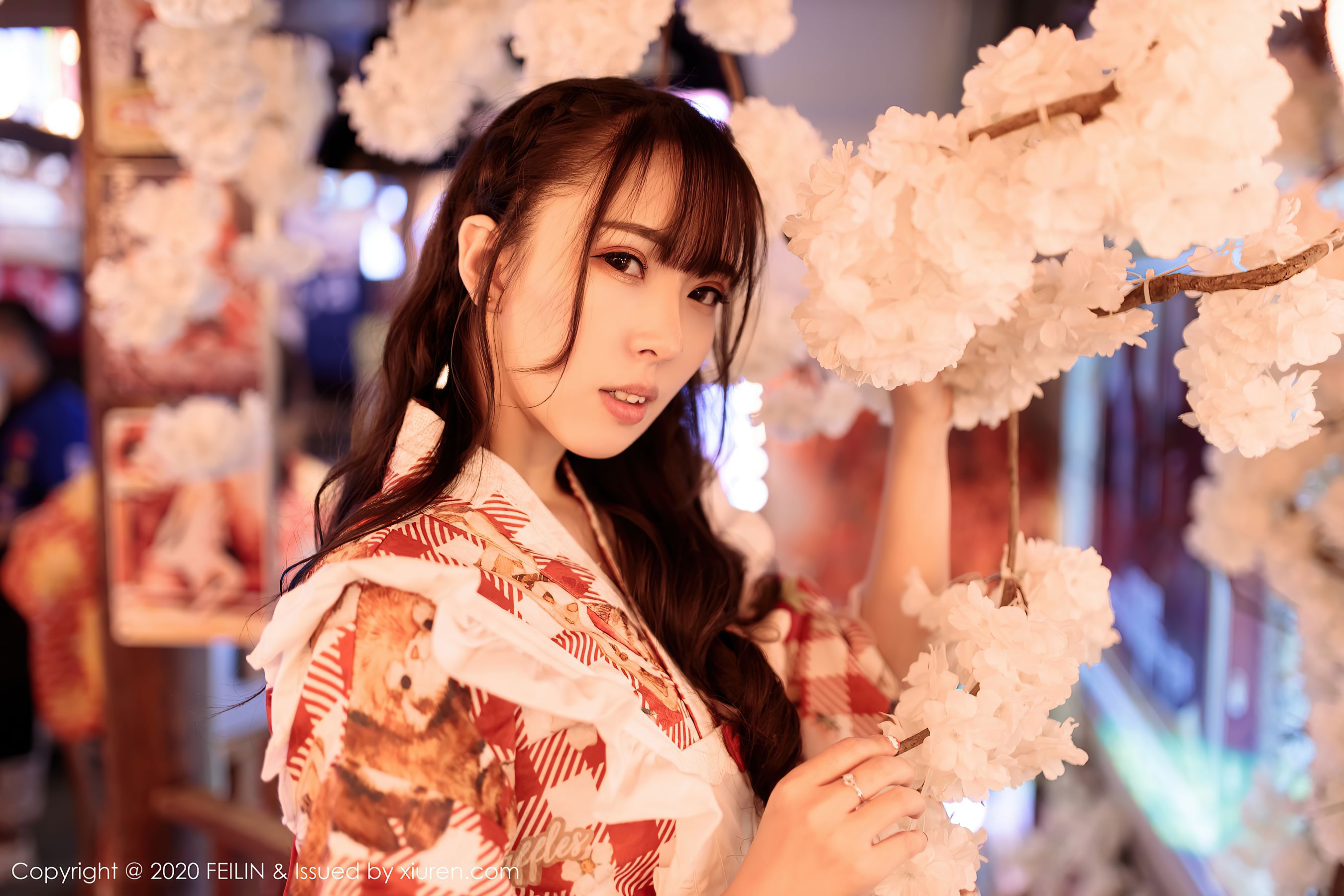 VOL.360 小波多-图0