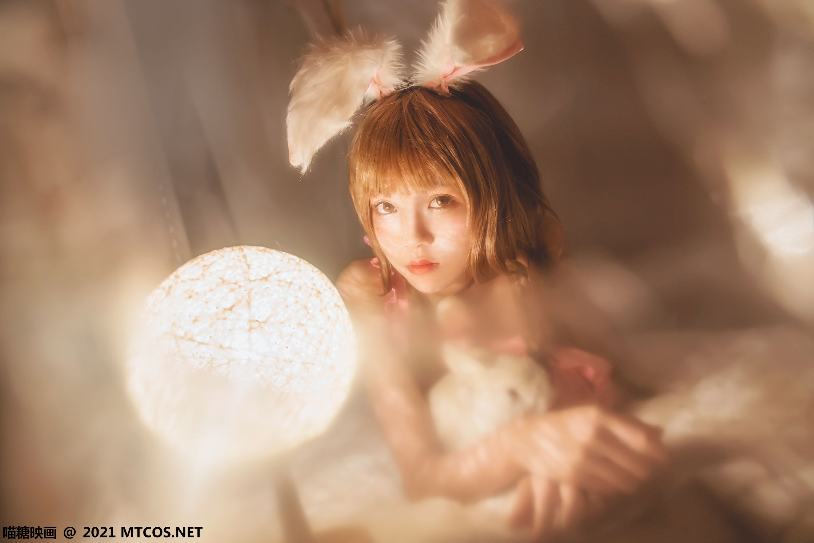 VOL.384 冬眠兔-图14