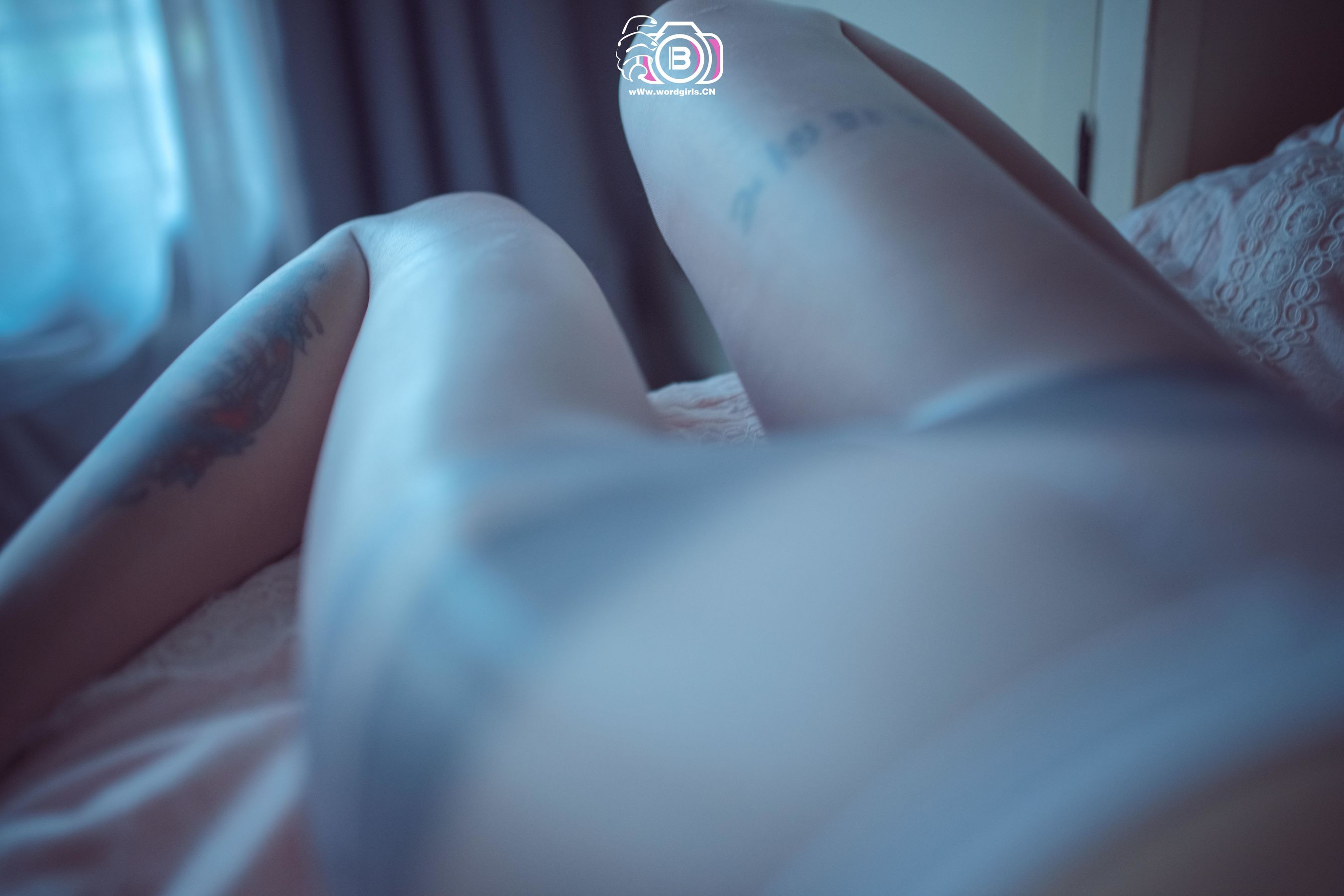 No.806 李温柔 女主播李温柔的涨粉日记-图30