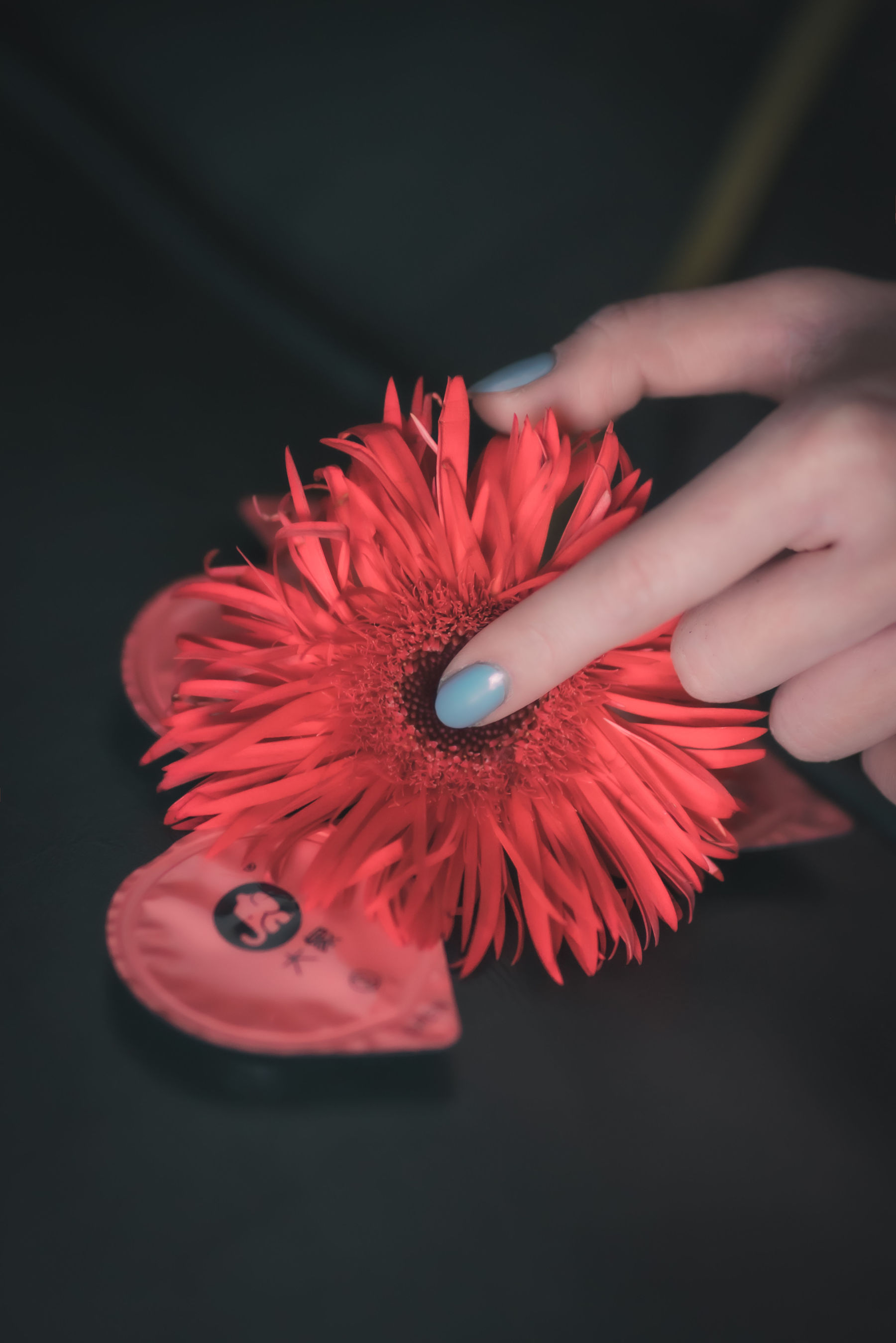 COS少女星野咪兔 - 花吃了那女孩-图5