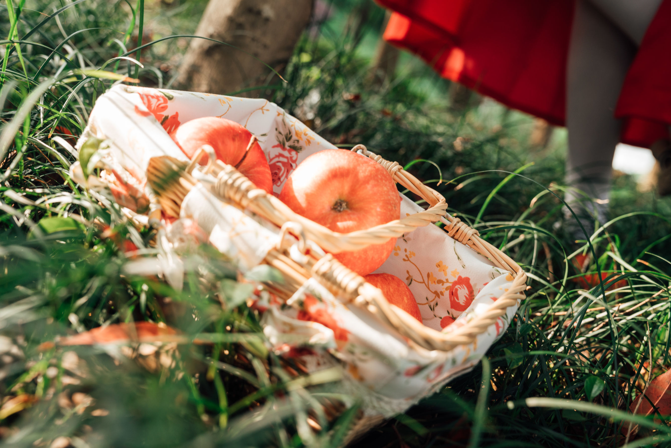 萌妹奈汐酱nice - 大红帽-图4