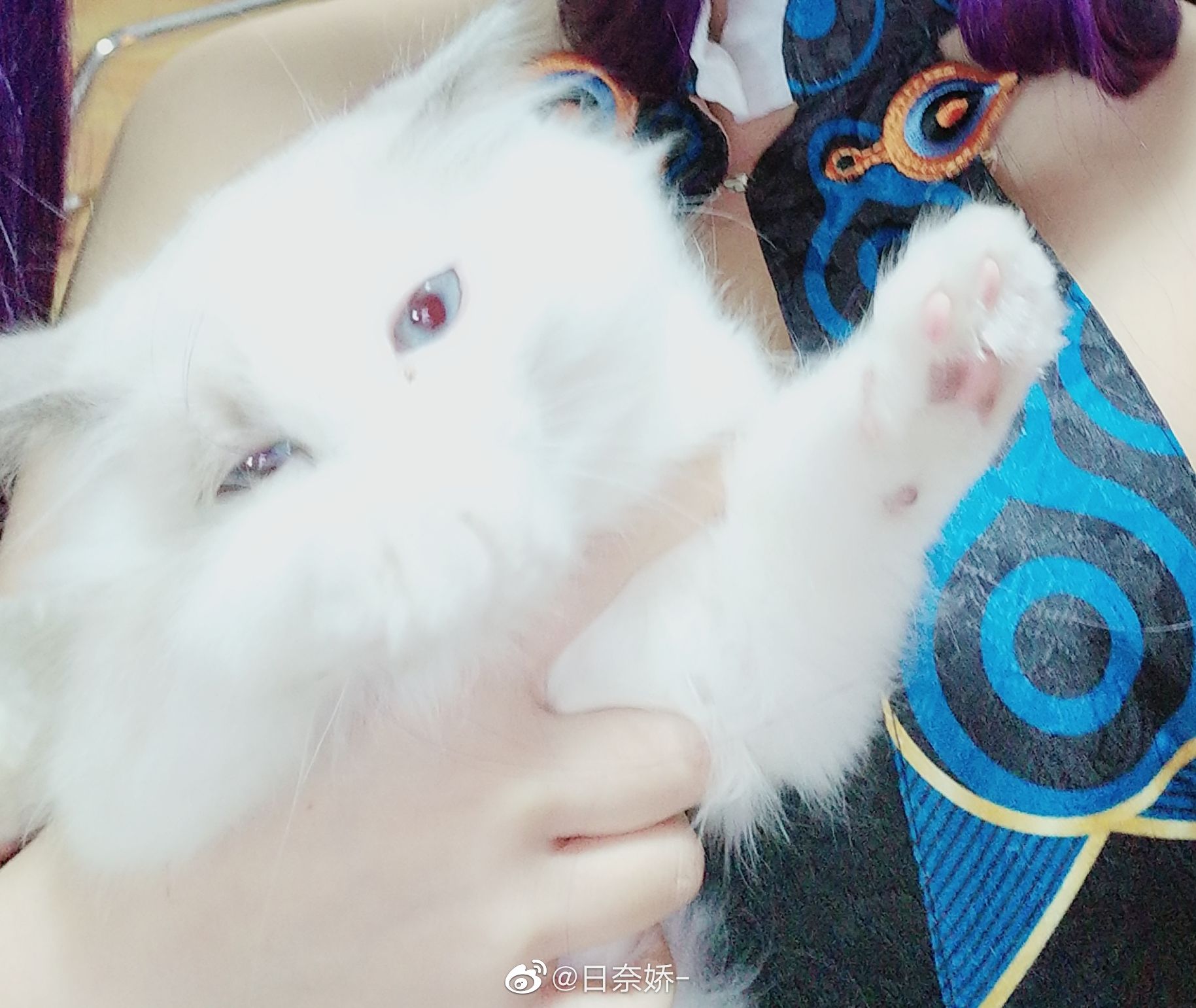 日奈娇 - 杨贵妃-图4