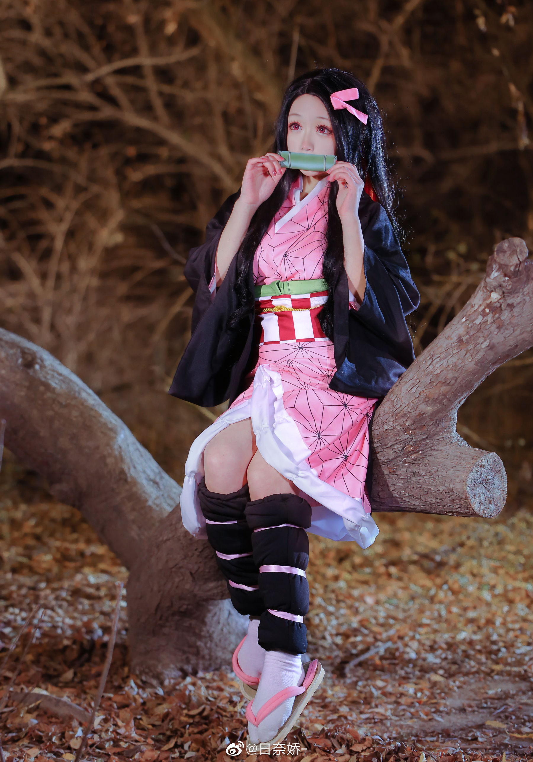 日奈娇 - 灶门祢豆子-图3