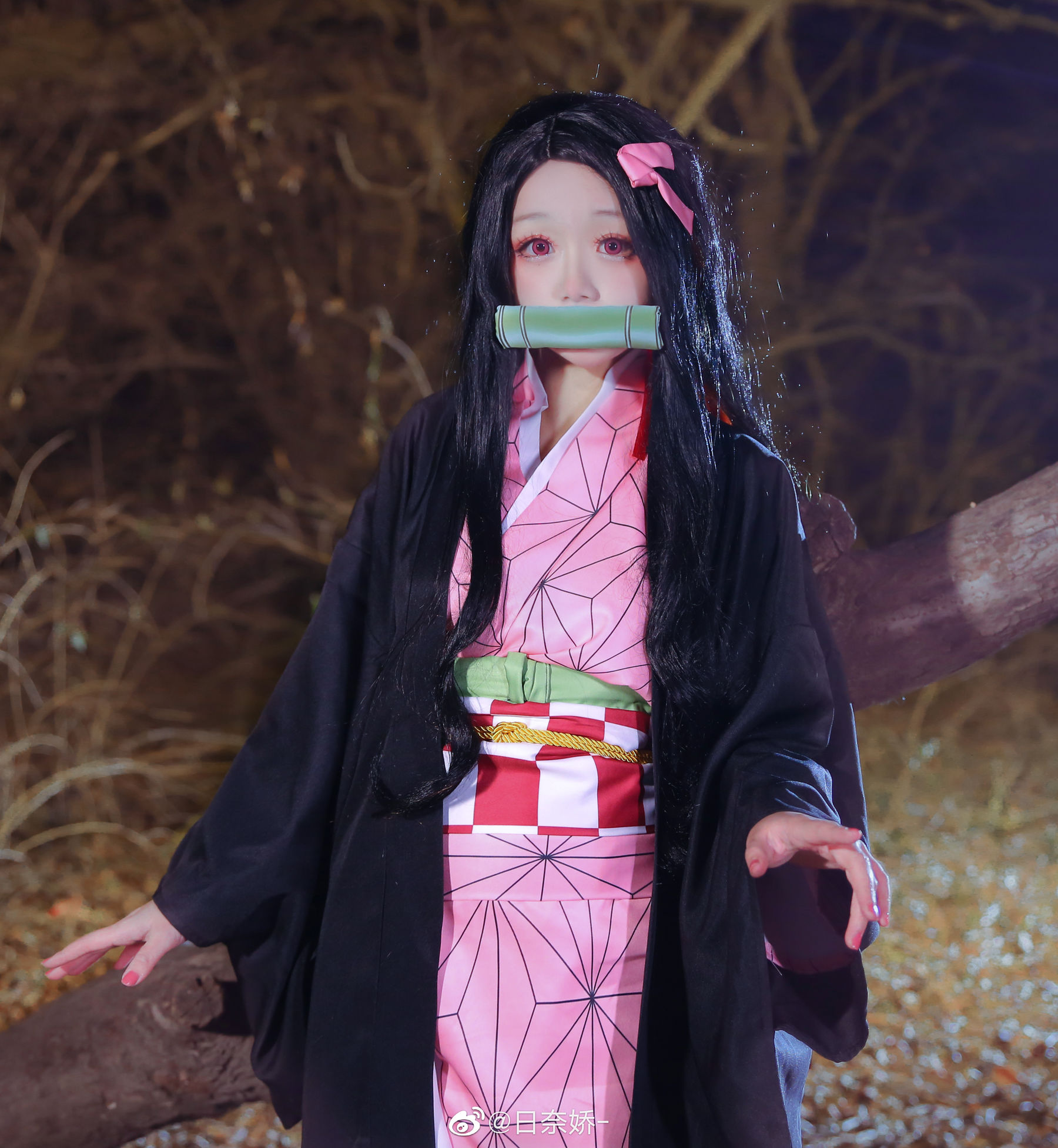 日奈娇 - 灶门祢豆子-图4