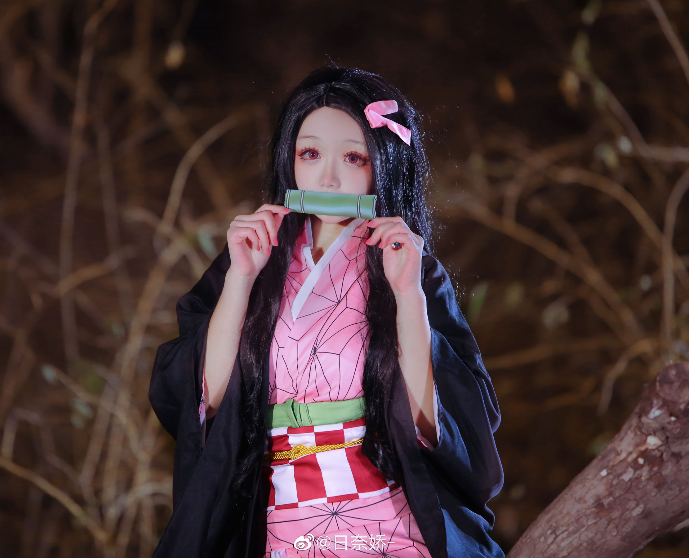 日奈娇 - 灶门祢豆子-图5