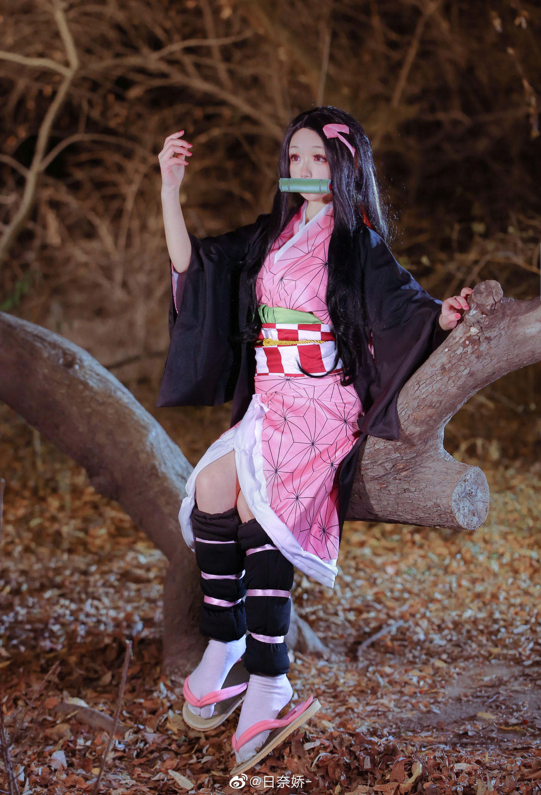 日奈娇 - 灶门祢豆子-图7