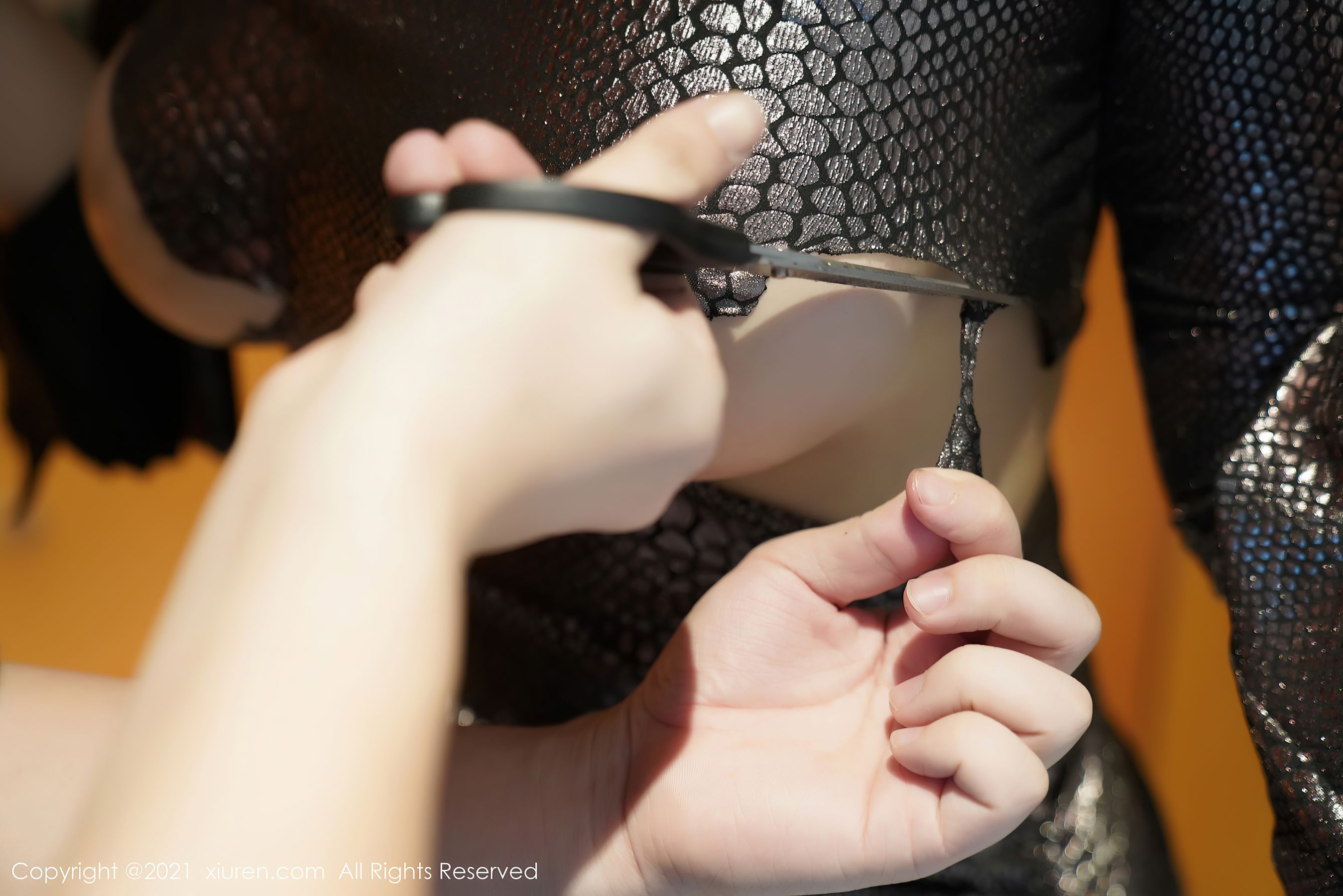 No.3147 凯竹-廿十-图44