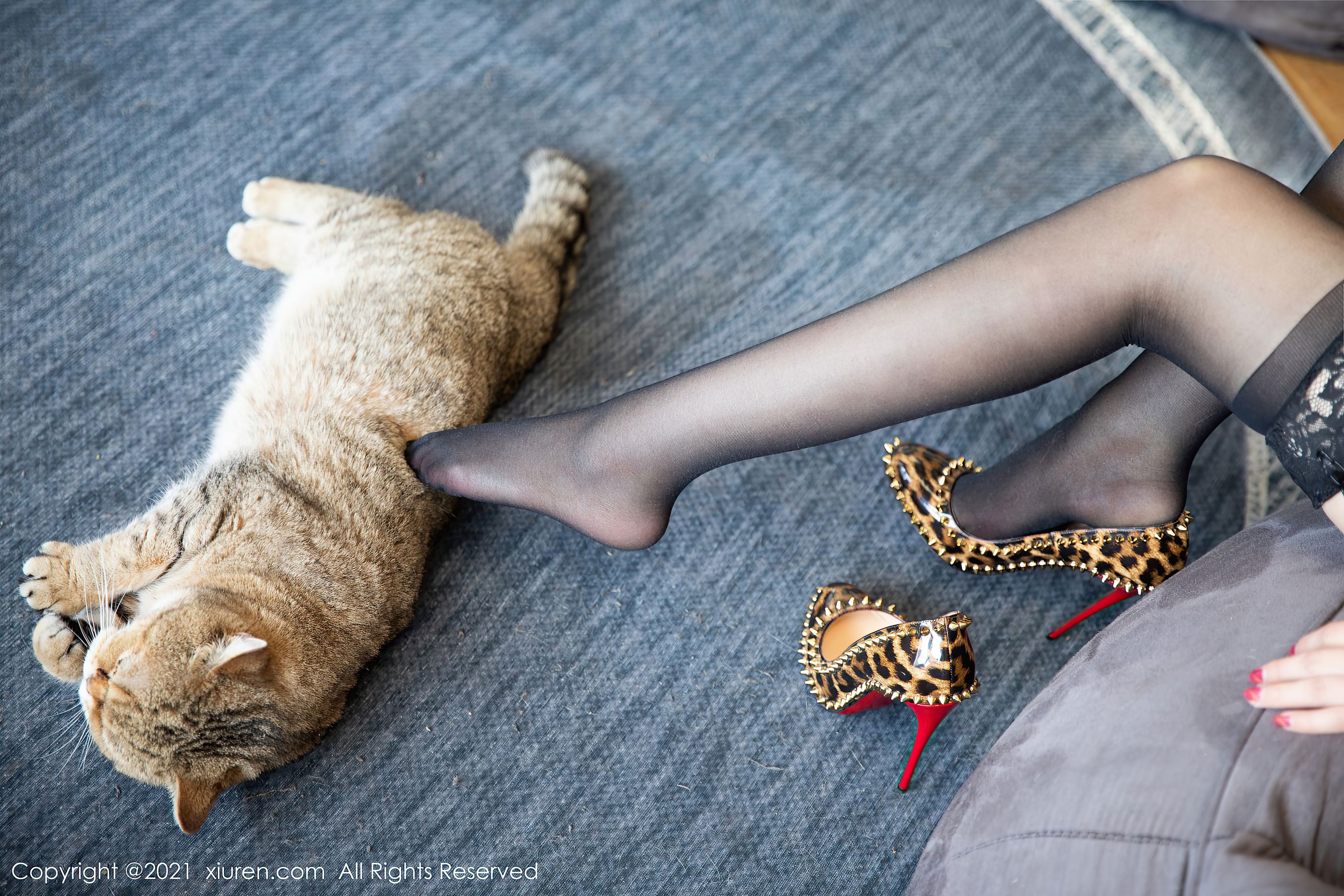 No.3148 允爾-图45