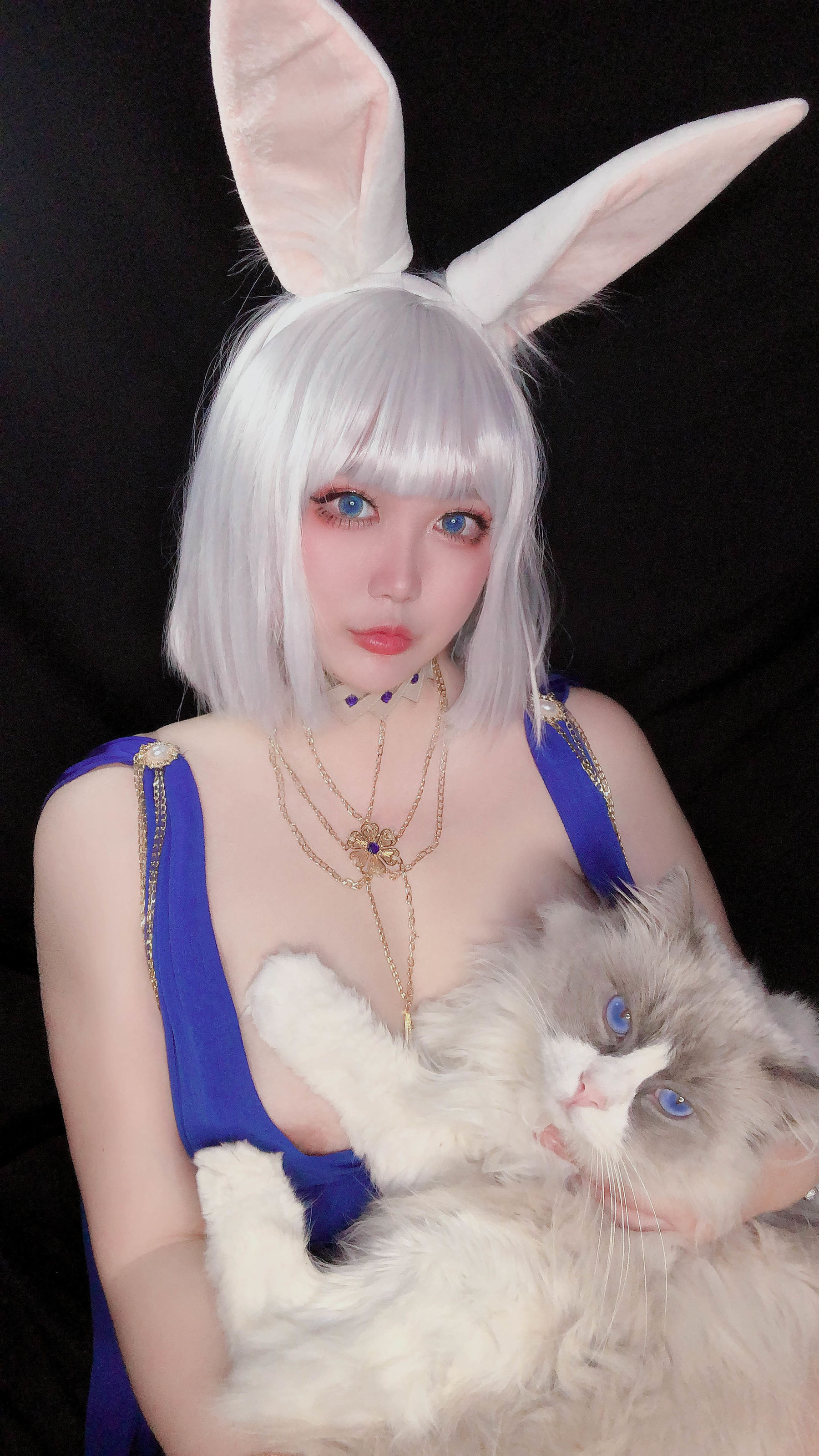 COS酱椒妮佐仁 - 加贺-图10