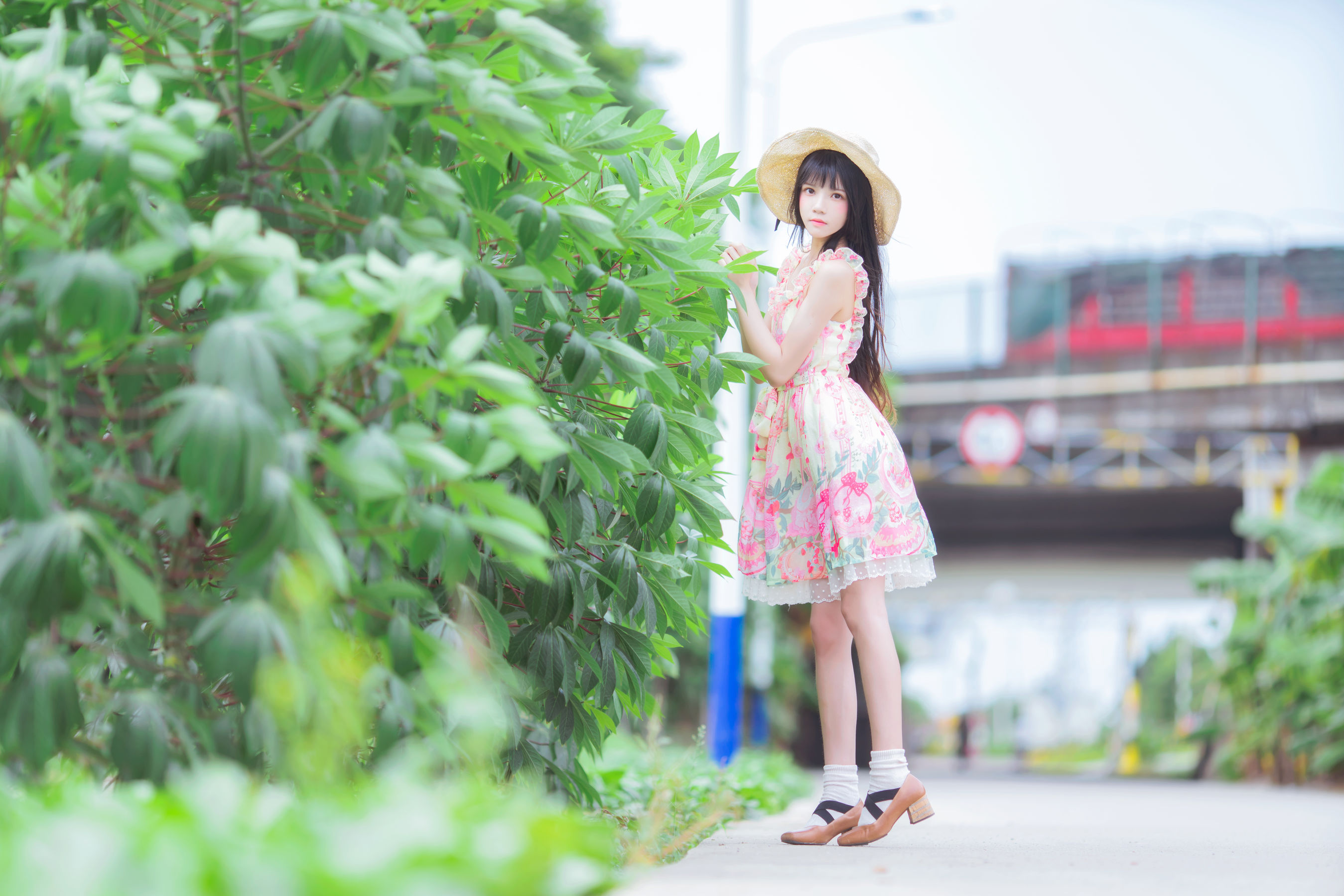 桜桃喵 - 清新之夏风-图3