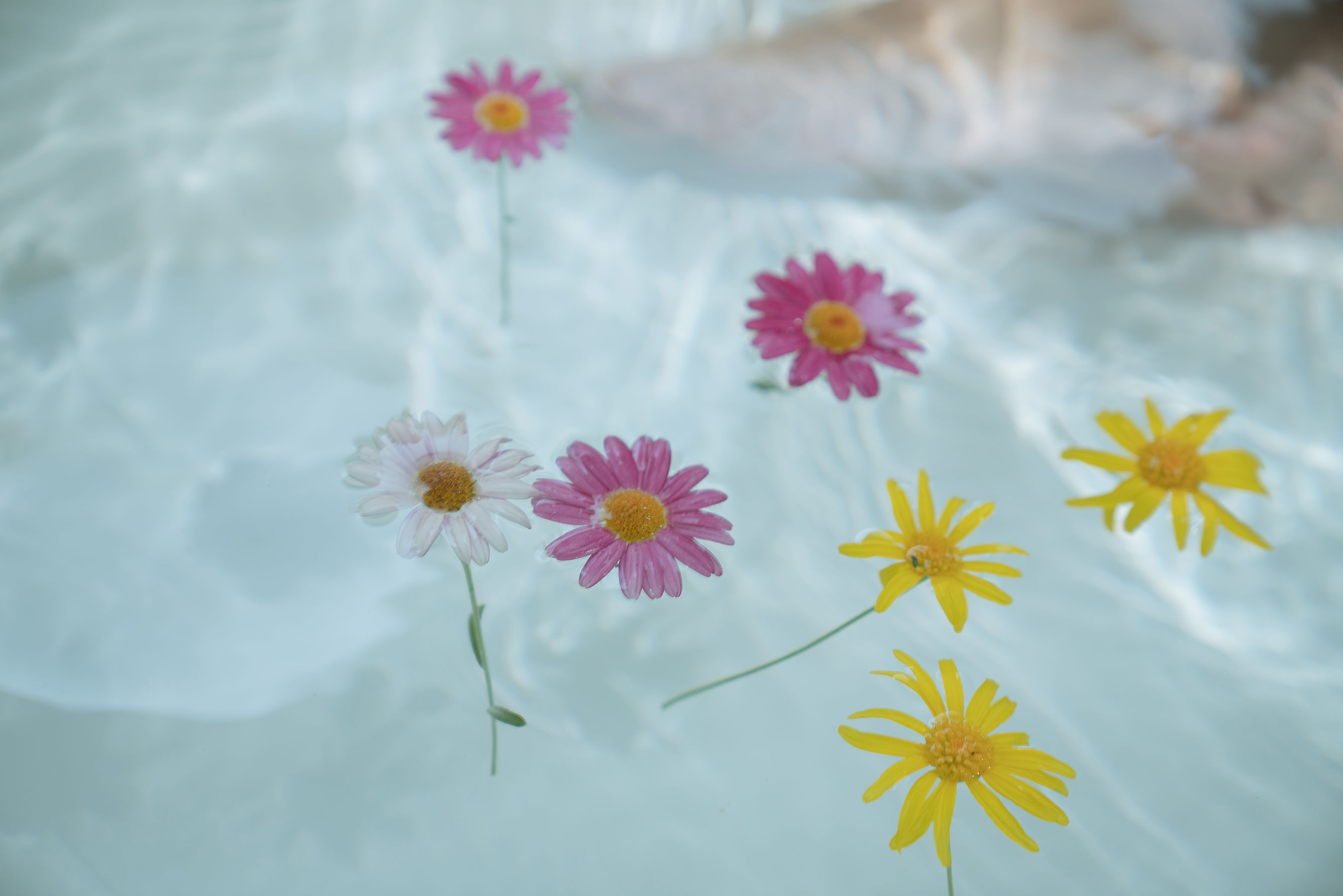 阳光美少女萌芽儿o0 - 浴缸-图47