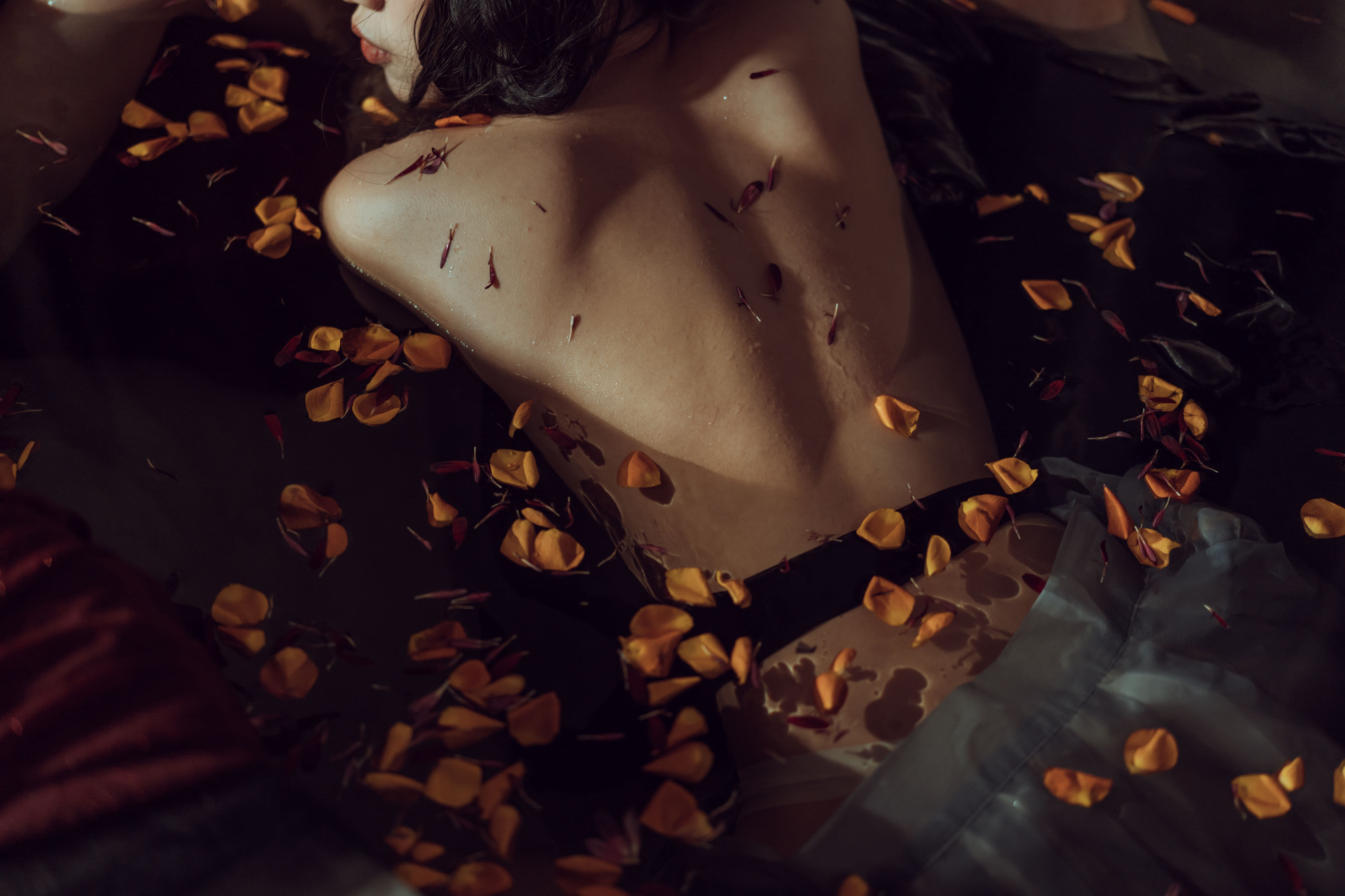 秋和柯基(夏小秋秋秋) - 昏红帐-图26