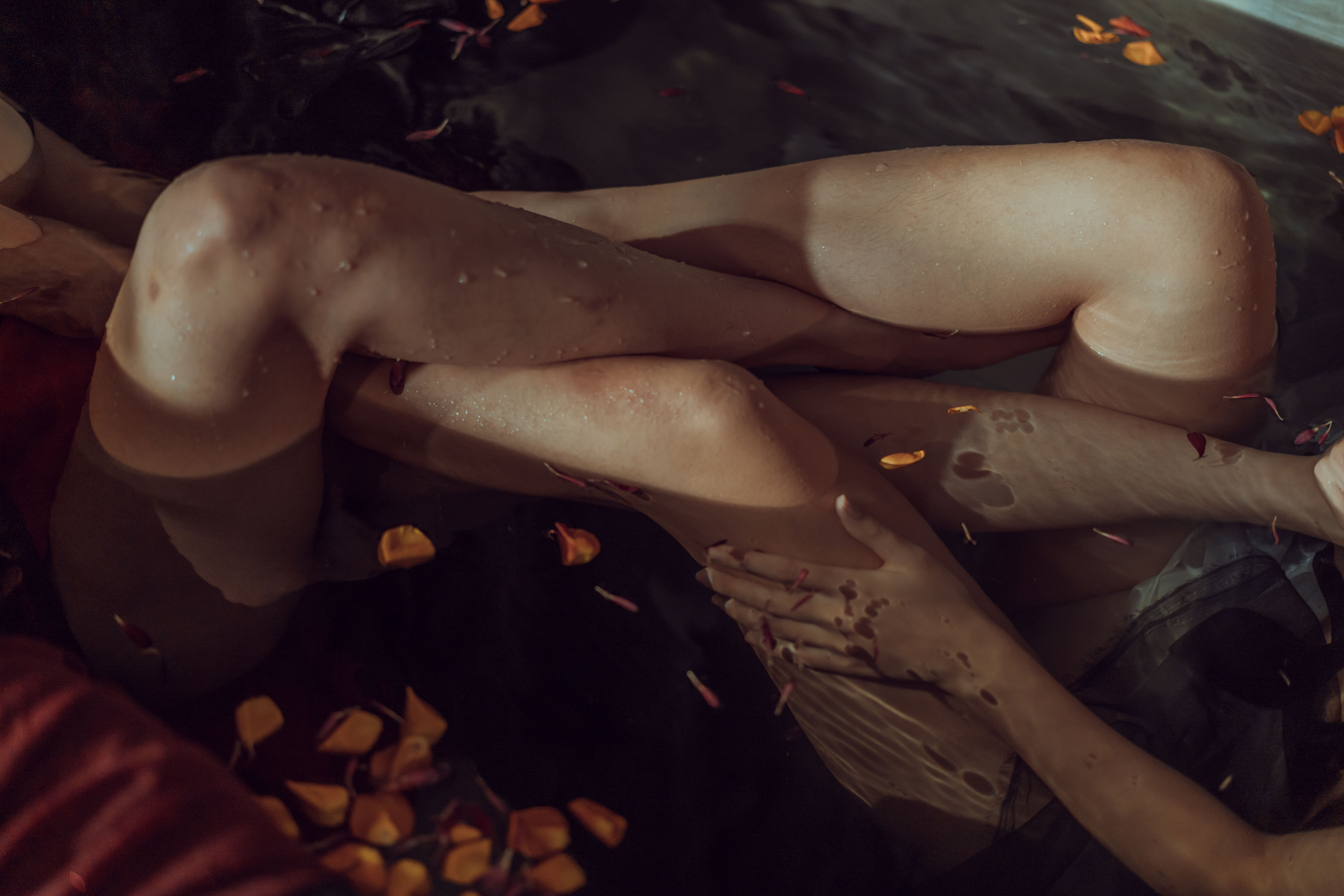 秋和柯基(夏小秋秋秋) - 昏红帐-图30