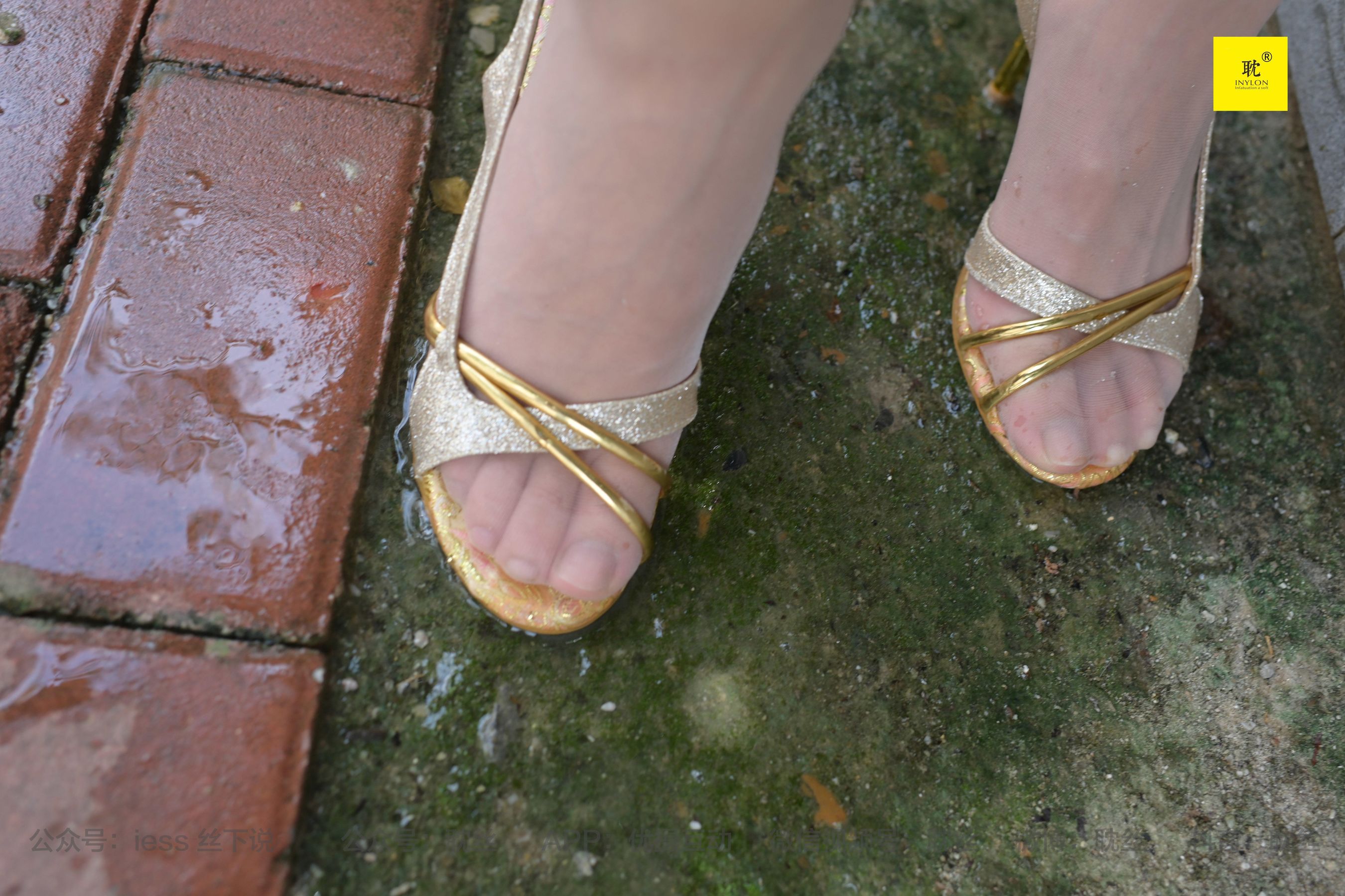 第N种幻想 孤单的周末⑤ 小六-图87