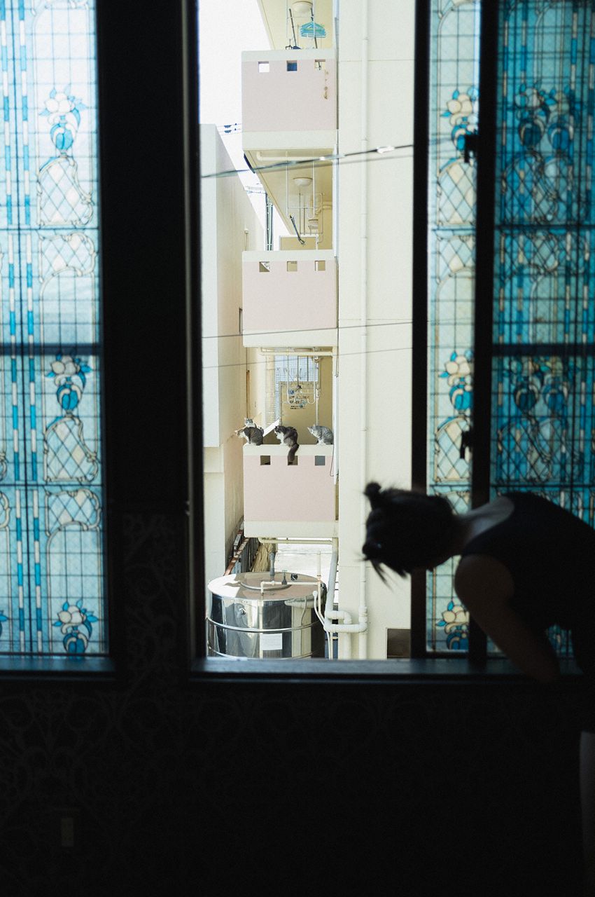 No.253 Aika Sawaguchi 沢口愛華 – Starting Line スタートライン-图180