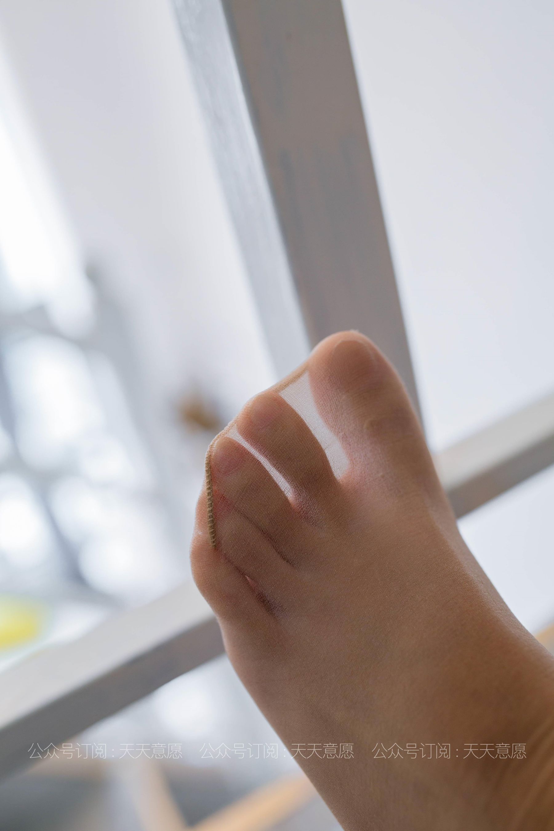 丝享家 801：婉苹《自愈系白色玫瑰》-图29