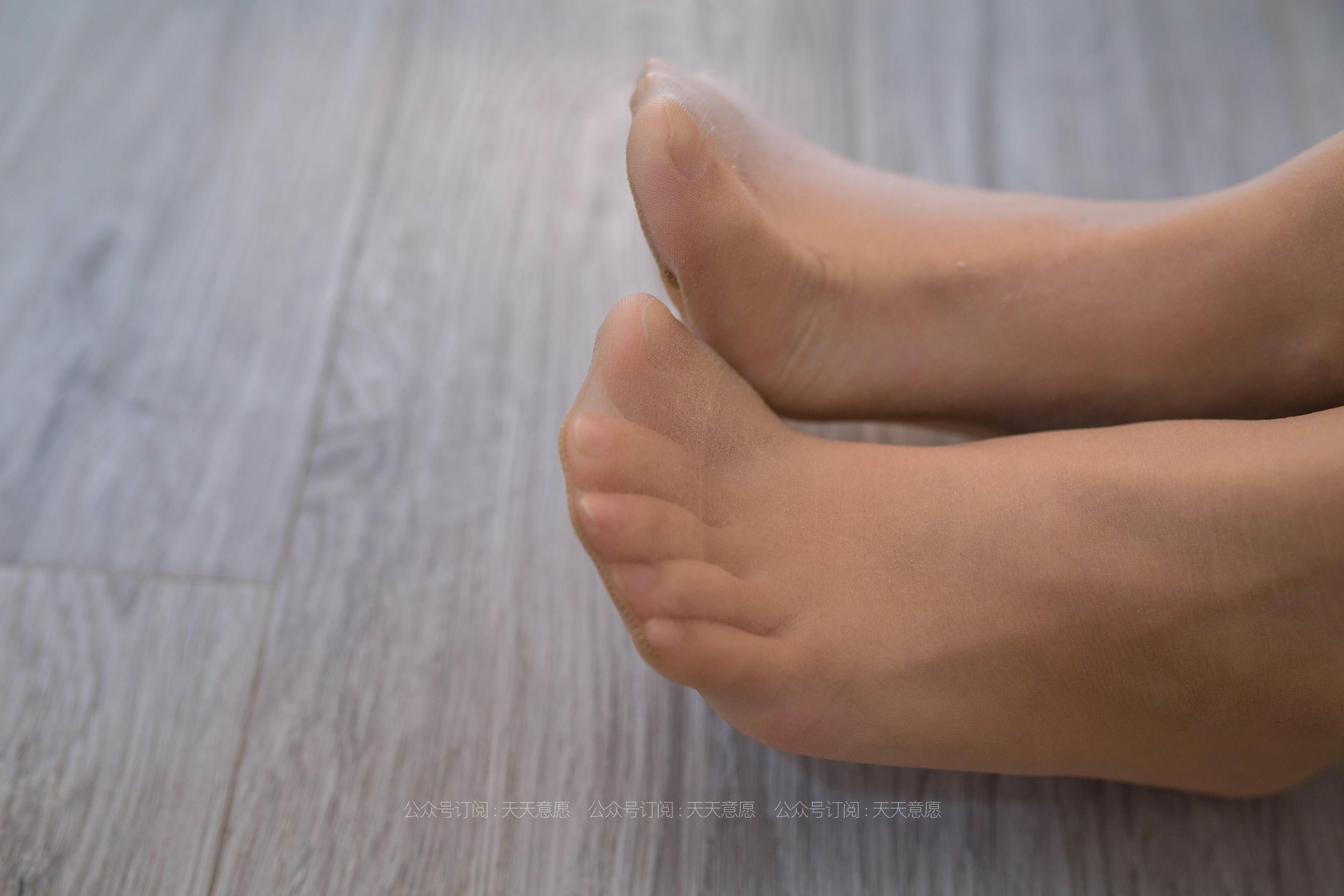 丝享家 801：婉苹《自愈系白色玫瑰》-图59