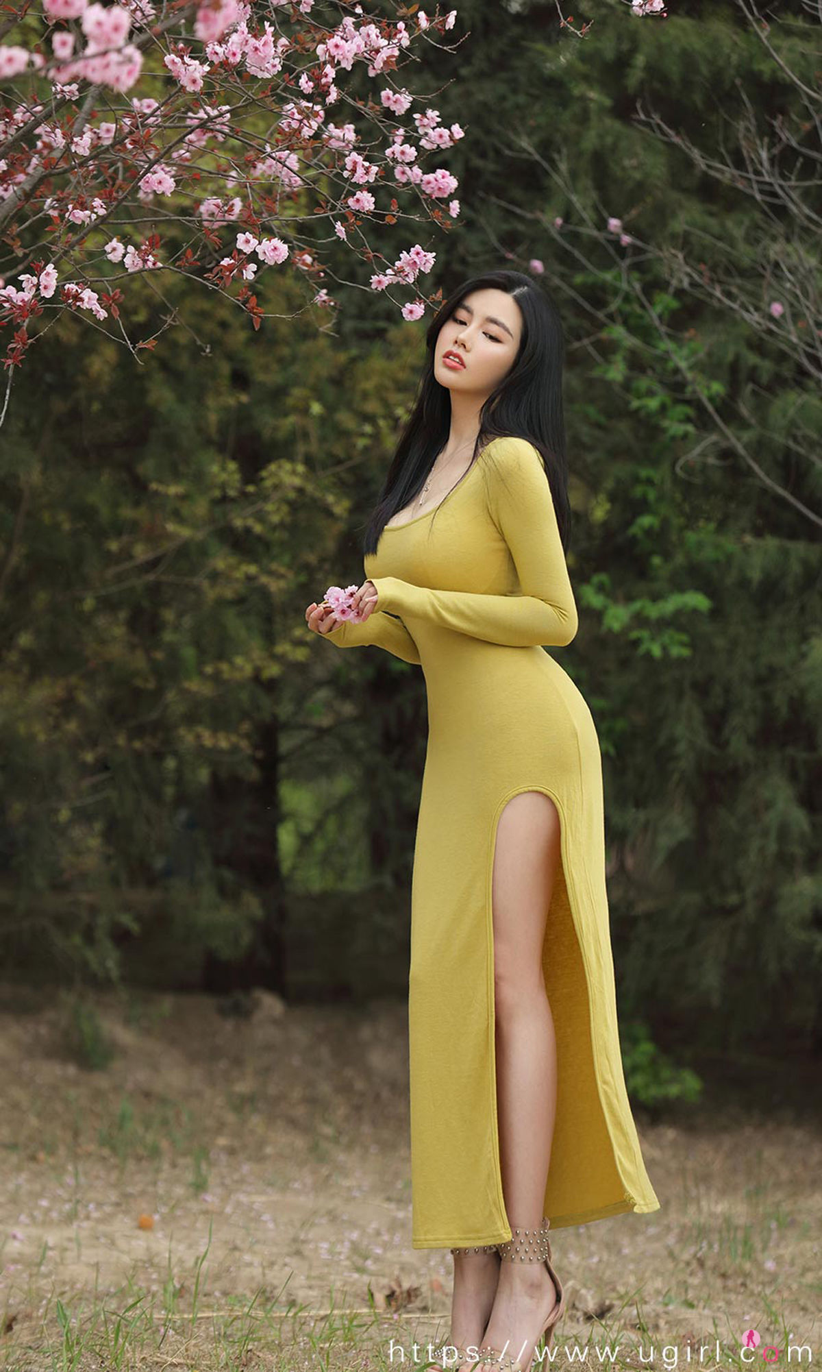 No.2075 娜露 赏春-图15