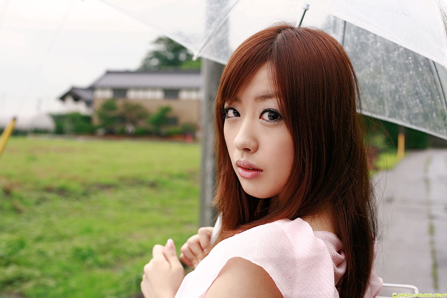 NO.809 Miyu Hoshino ほしのみゆ/星野美优 Adult Idols-图20