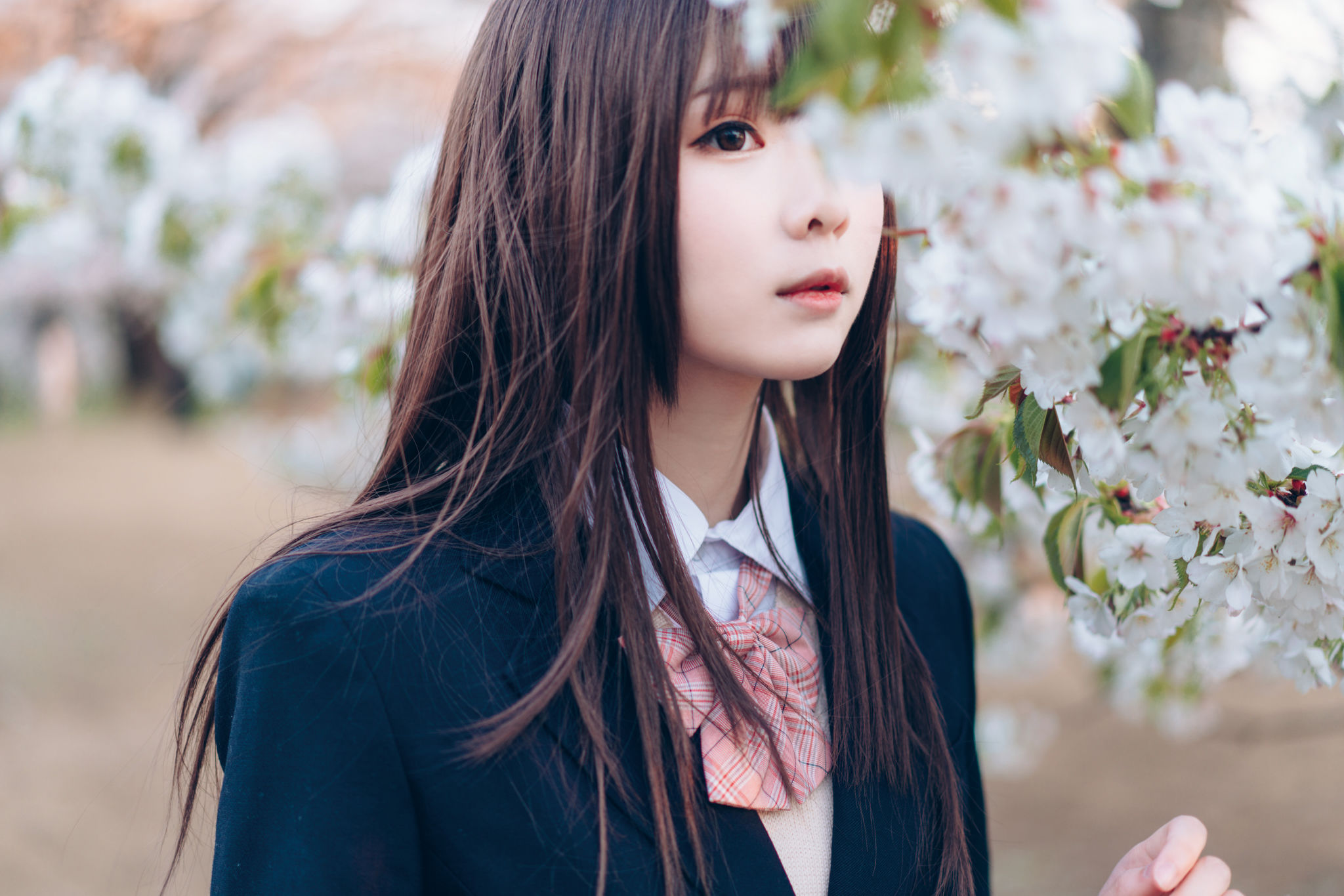 微博妹纸霜月shimo - SPRING-图36