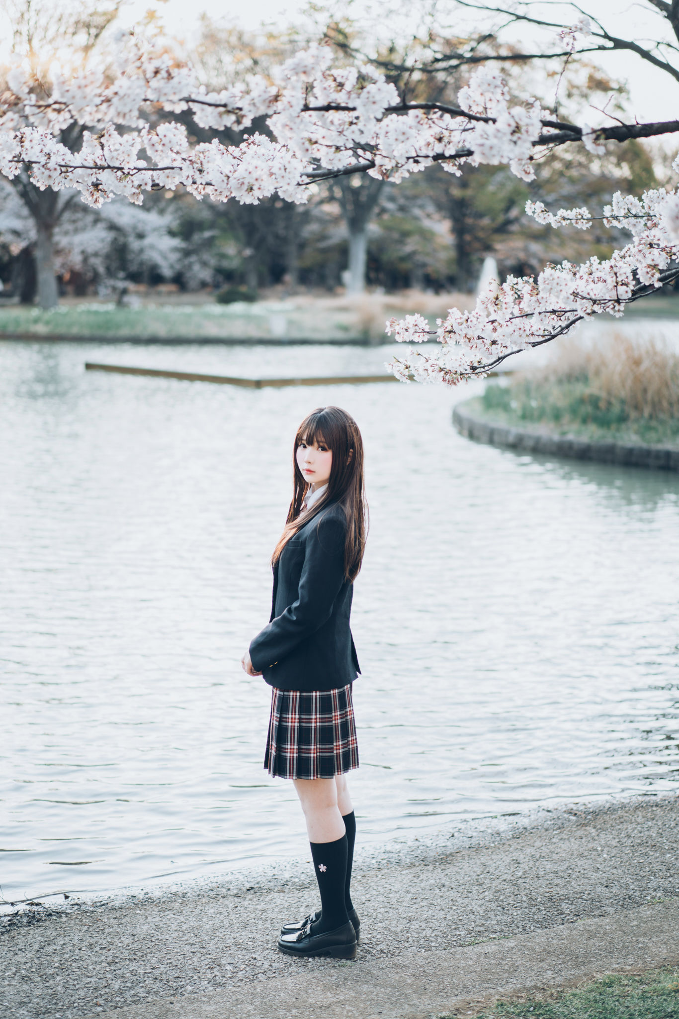 微博妹纸霜月shimo - SPRING-图52