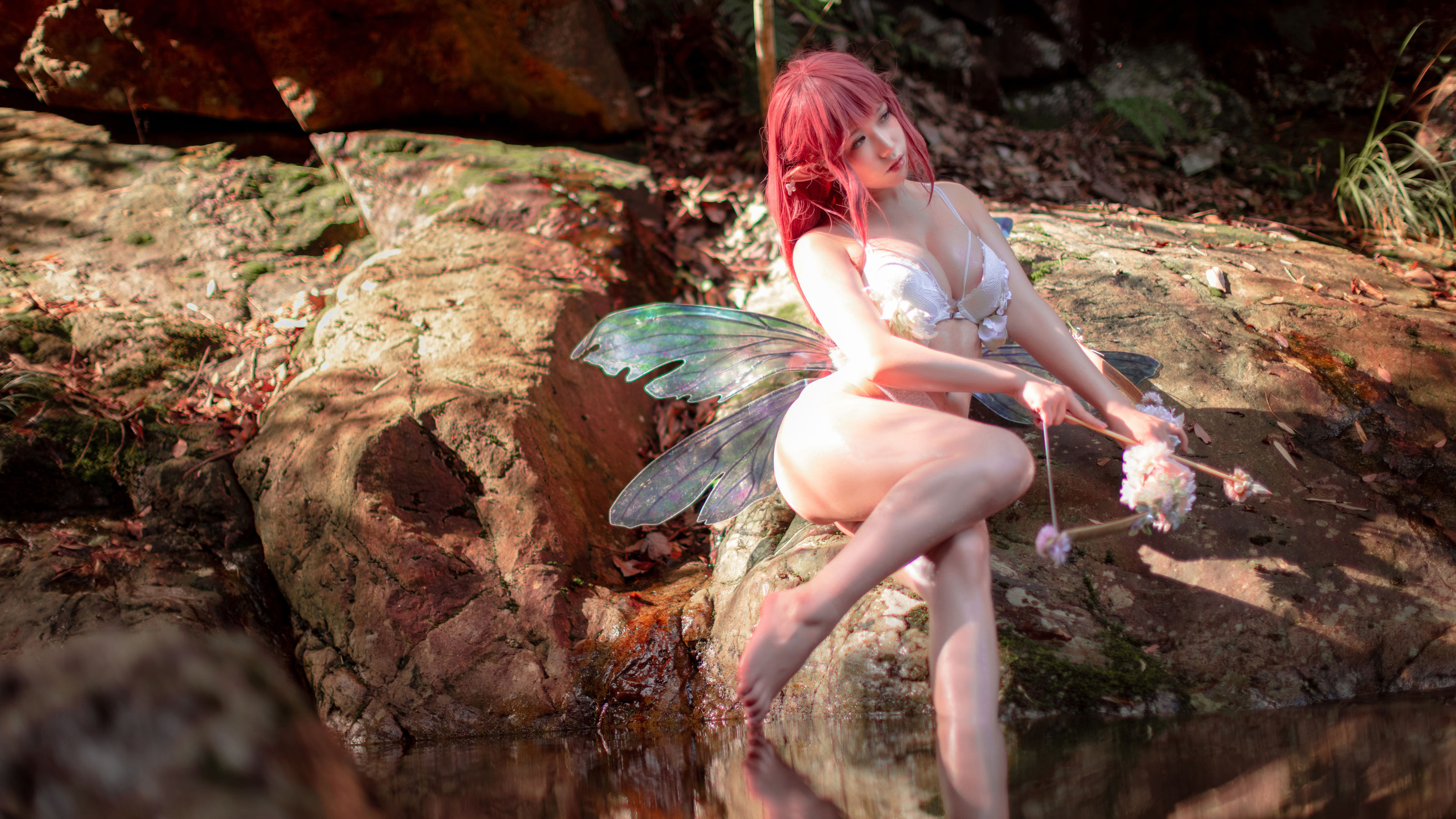 一北亦北 - 花精灵-图31