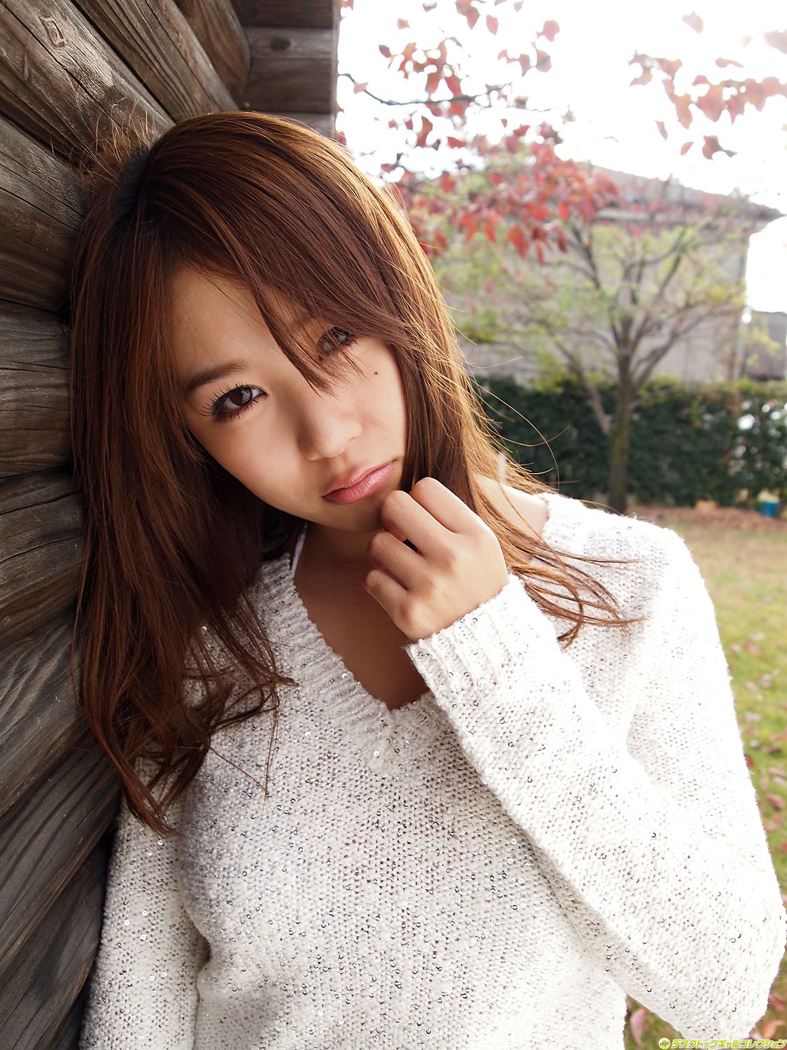 NO.915 Mai Nishida 西田麻衣 Gravure Idols-图2